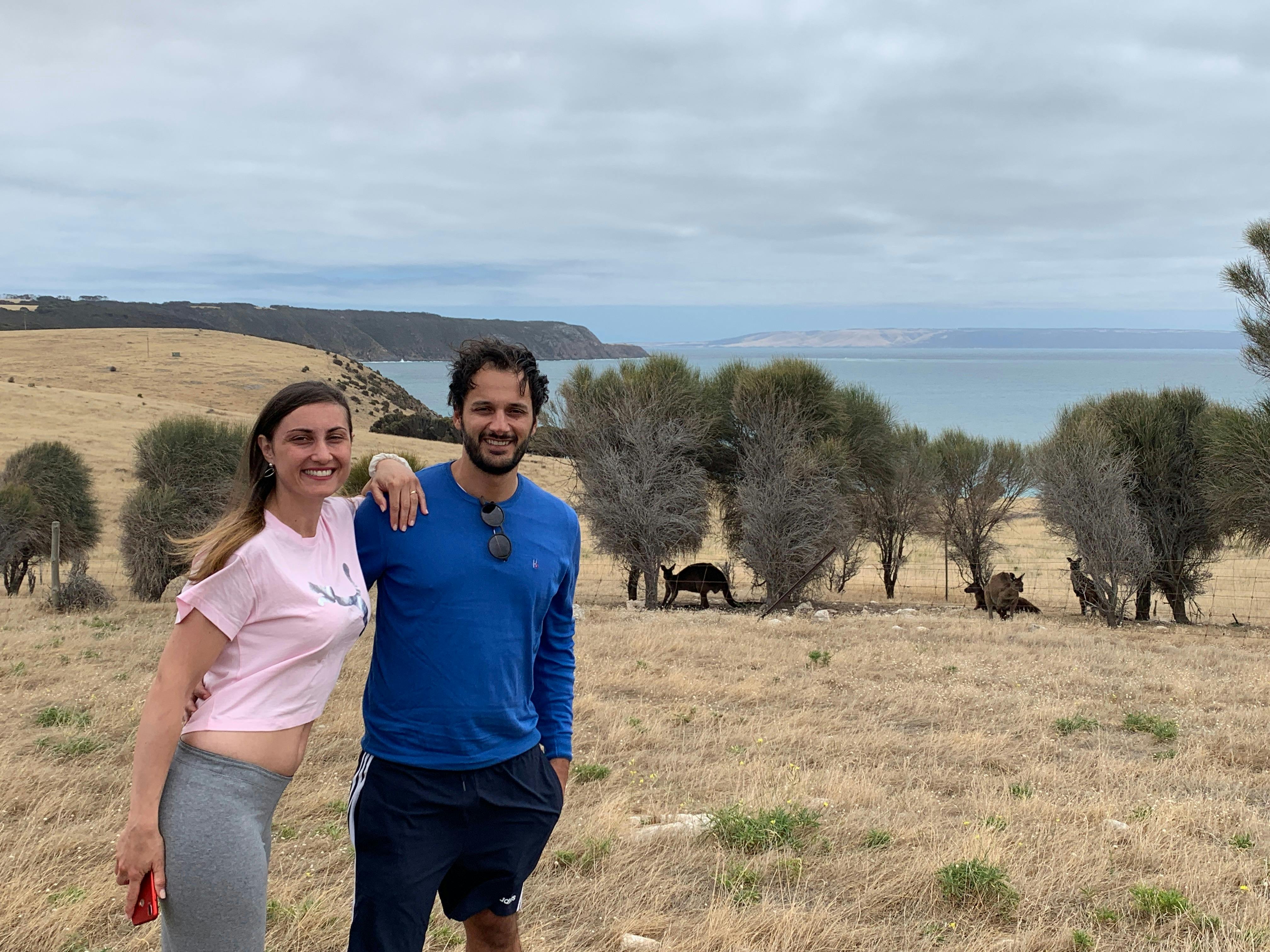 Kangaroos