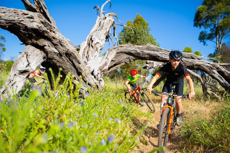 School Holiday Mountain Bike Skills Clinic Shepherds Hill RP (1)