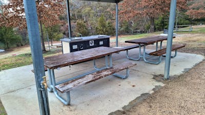 Shelter and BBQ's