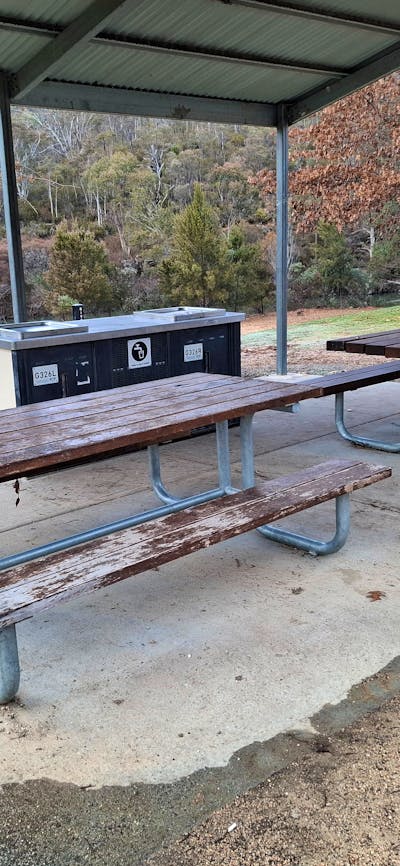 Shelter and BBQ's