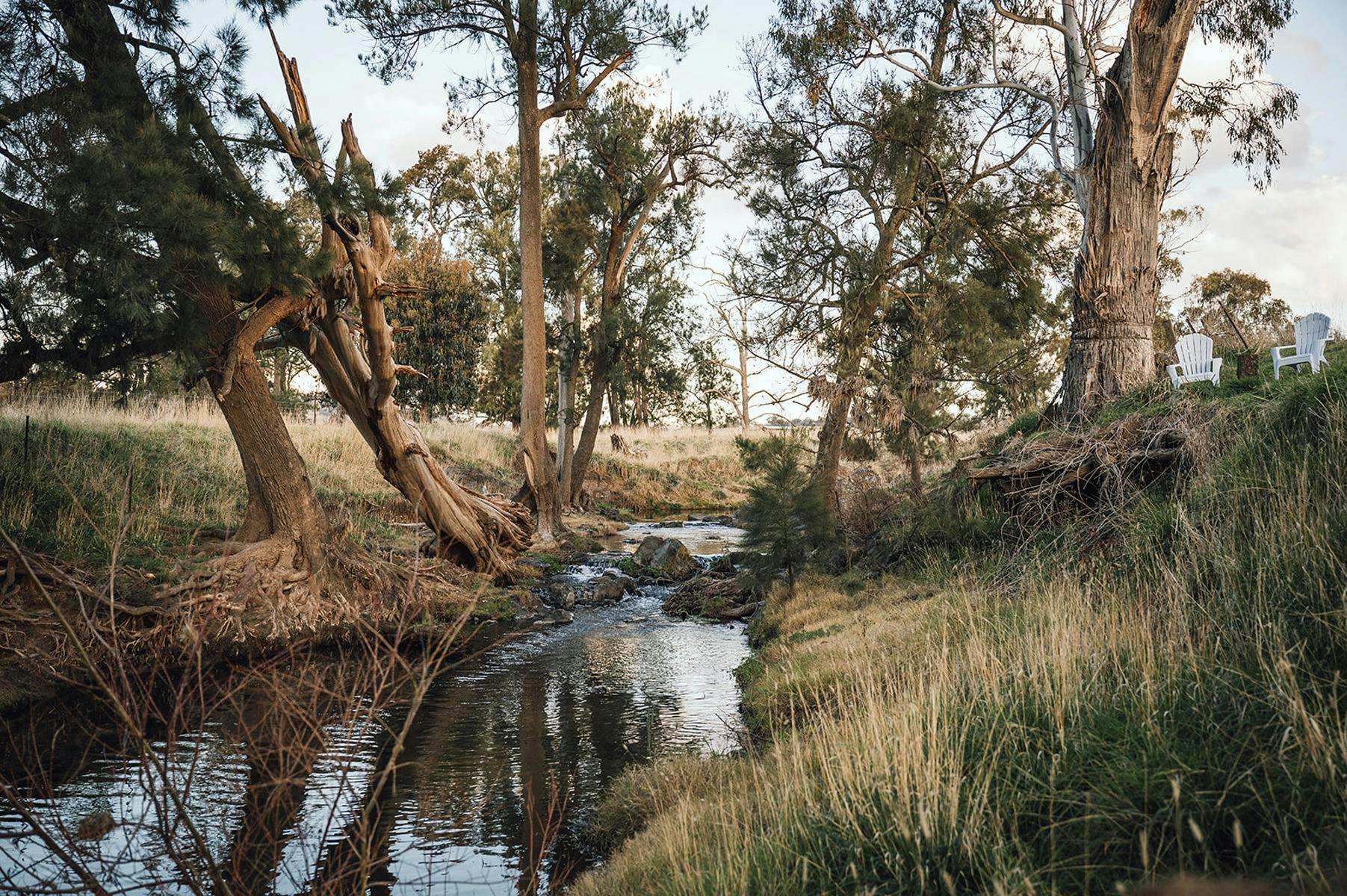 Private creek access and picnic area