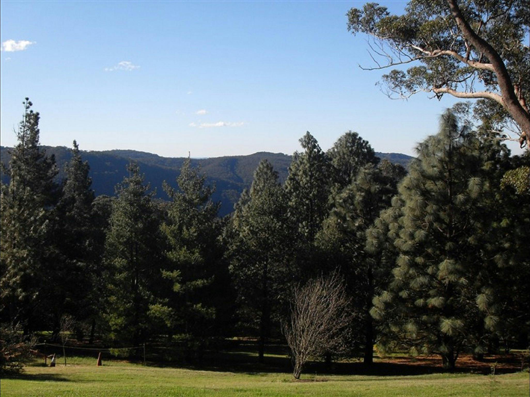 Mount Tomah NSW Holidays & Things to Do, Attractions