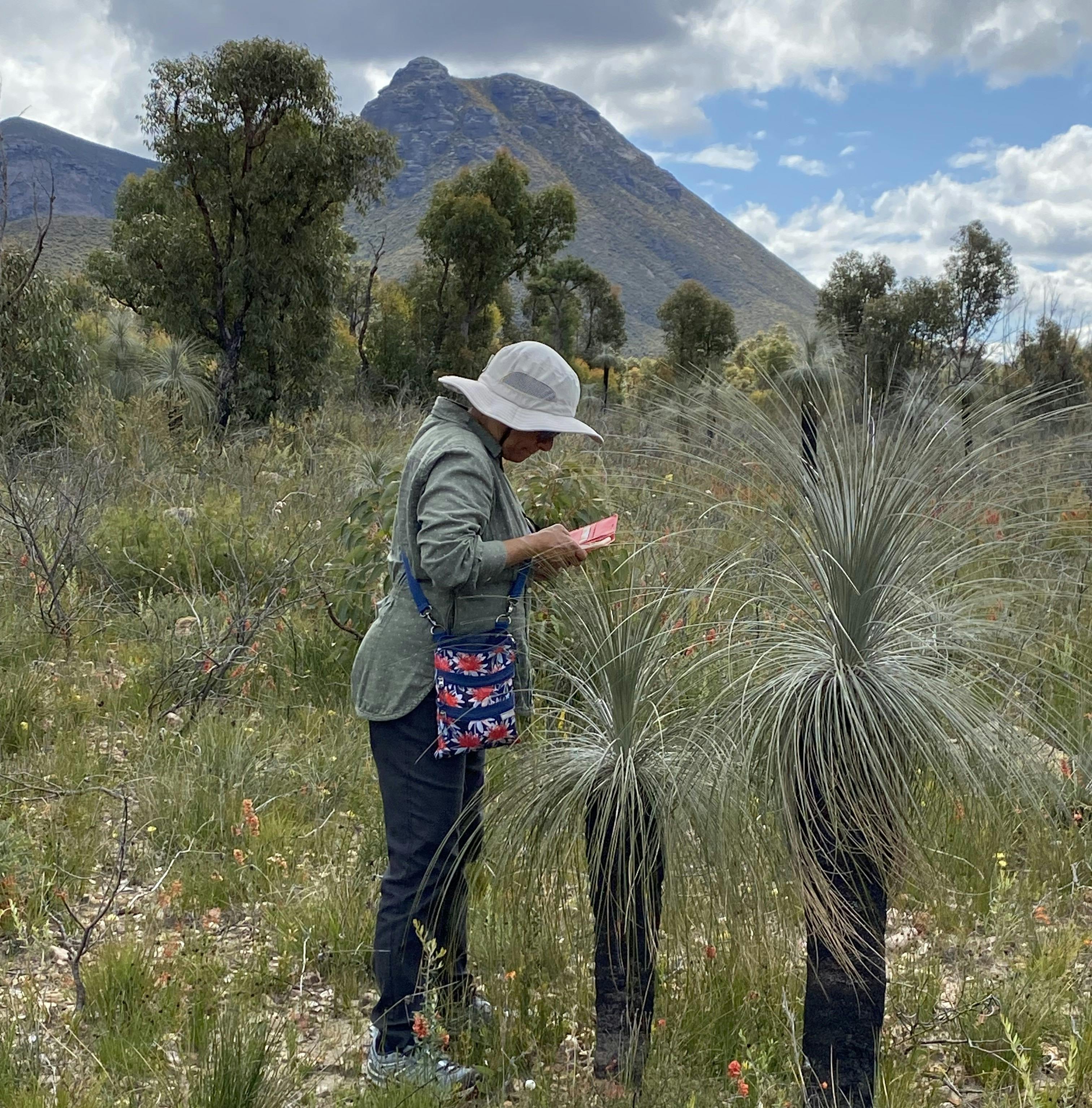 Stirling Range Wildflower Tours