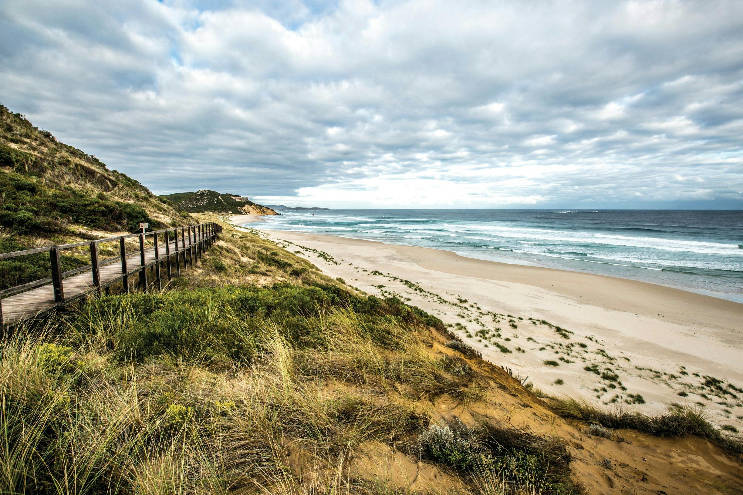 Jarrahland Wildflower Trail, Windy Harbour, Western Australia