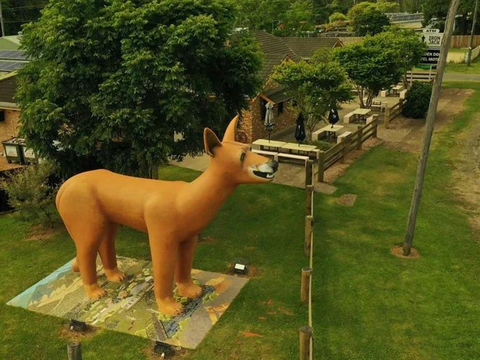 格倫雷村的金狗