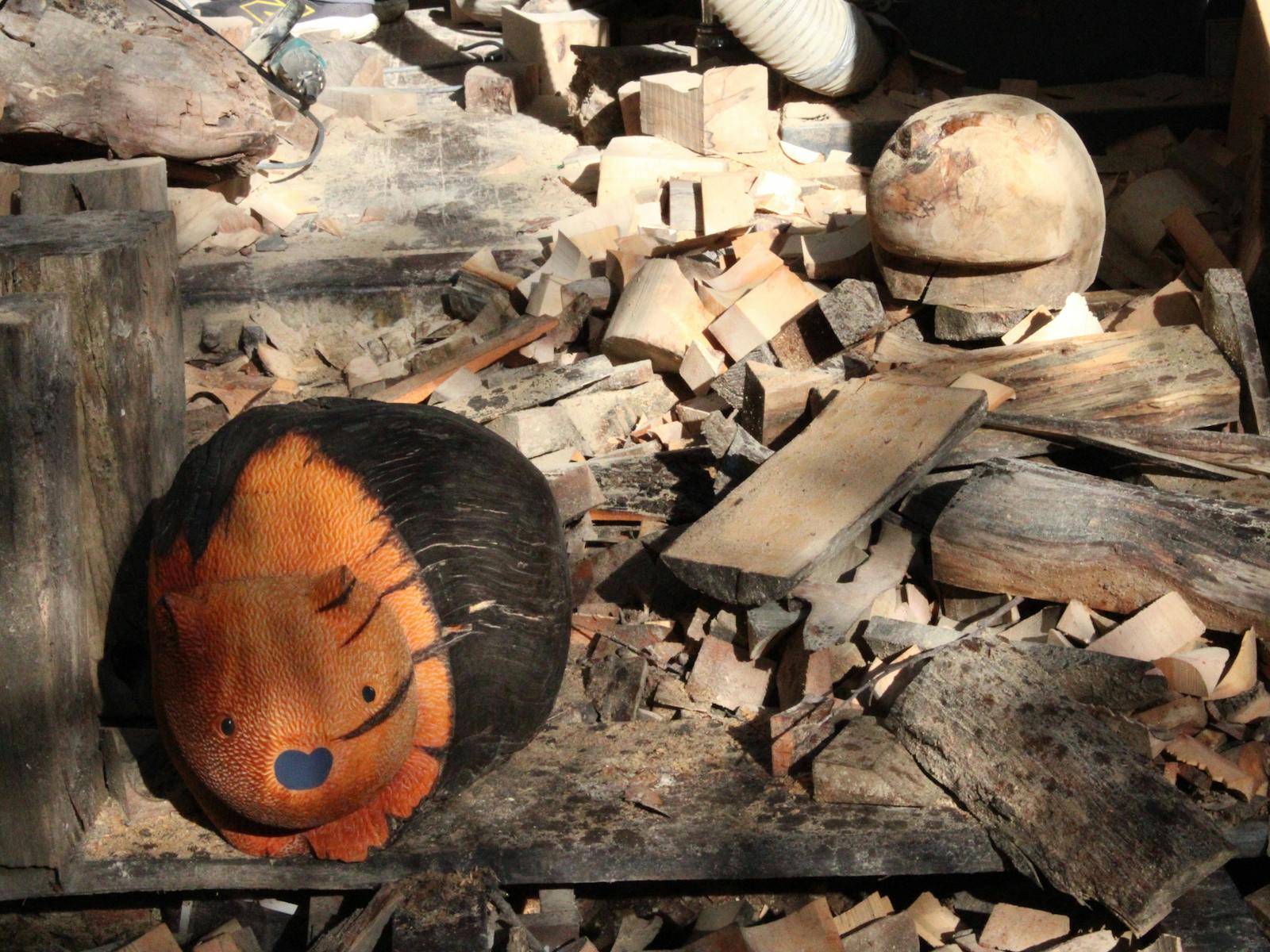 Carved wombat with fire damage at The Edge of Nature