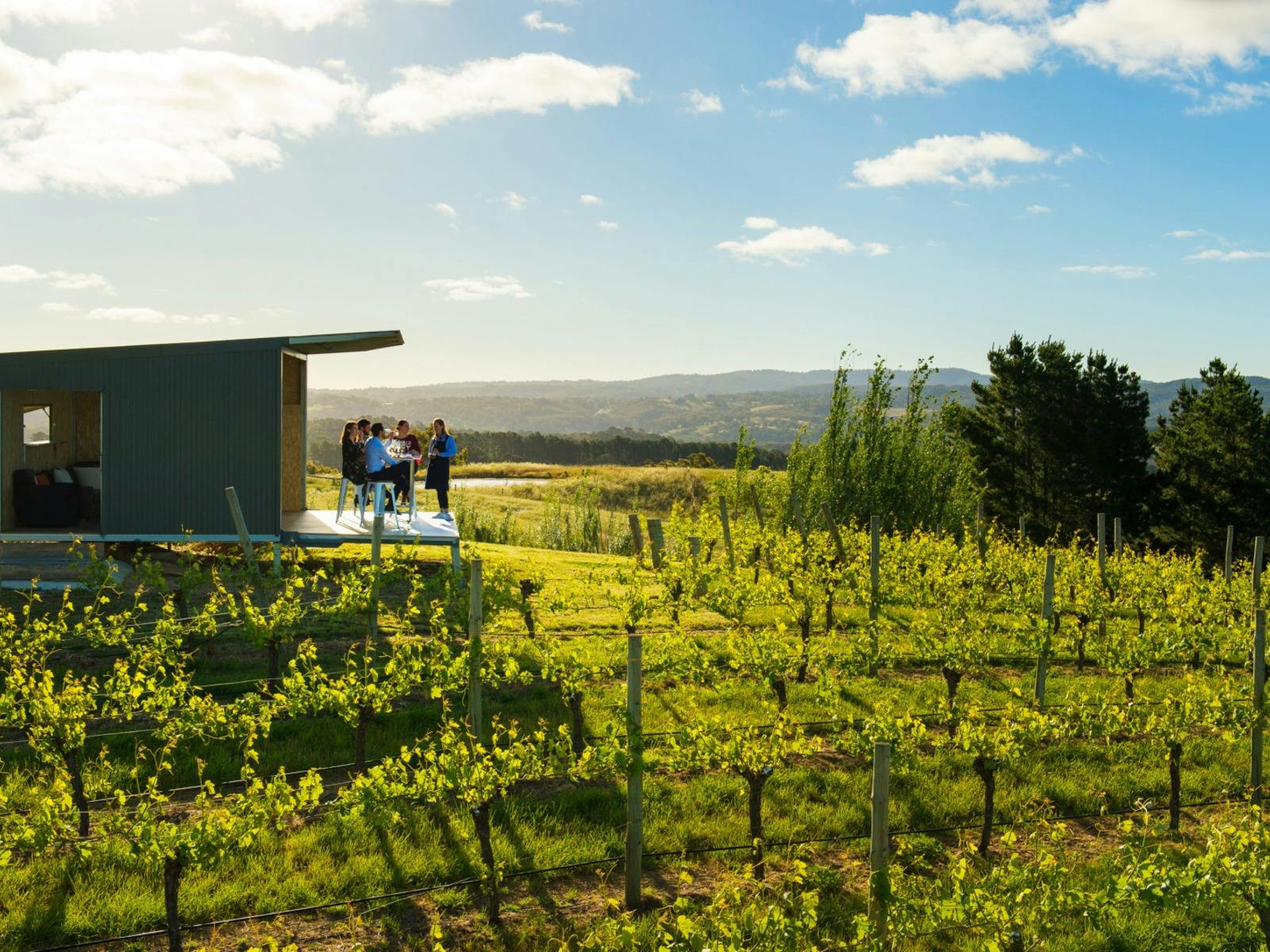 Barossa Valley Wine Tours