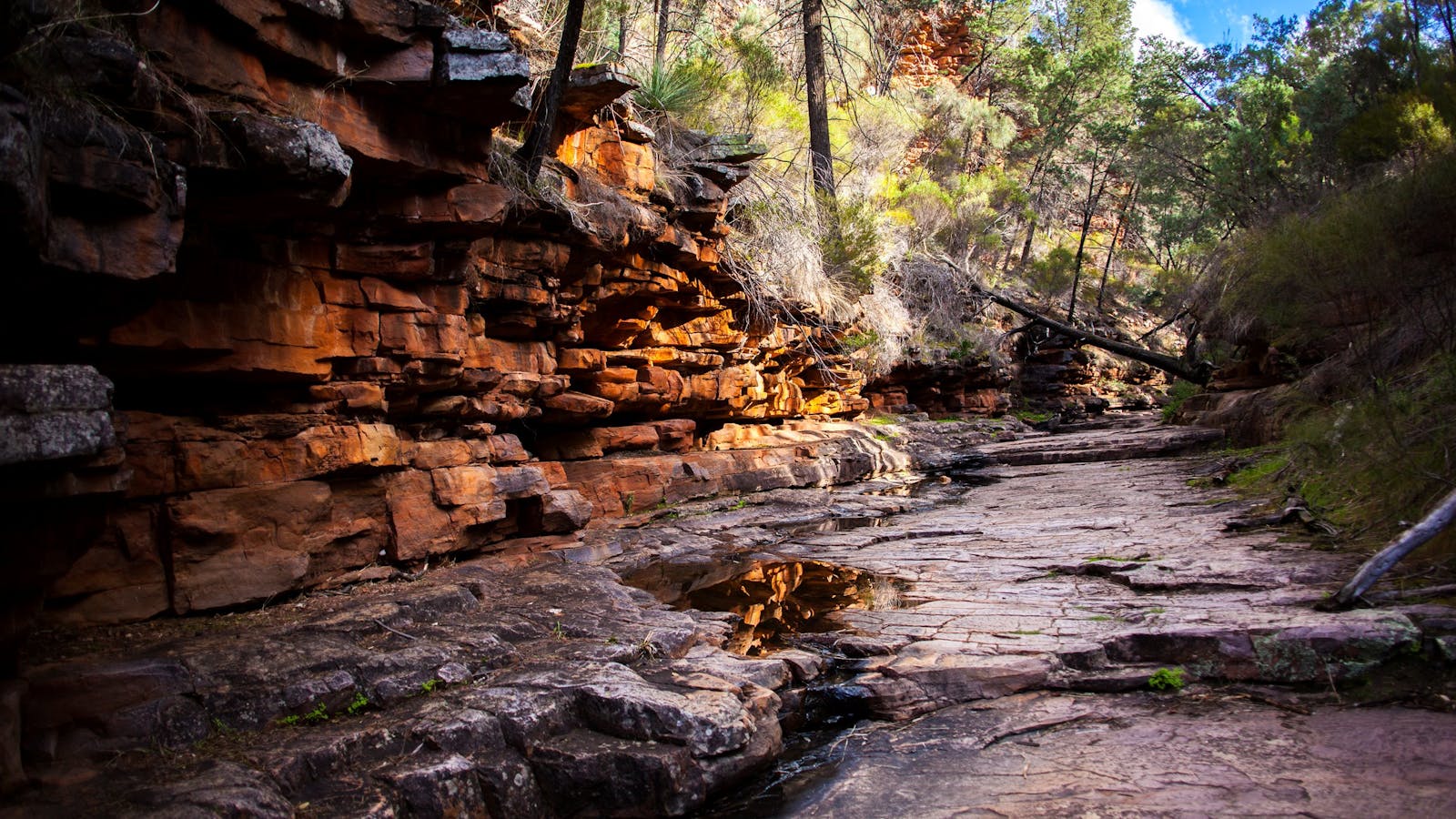 Mount Remarkable National Park