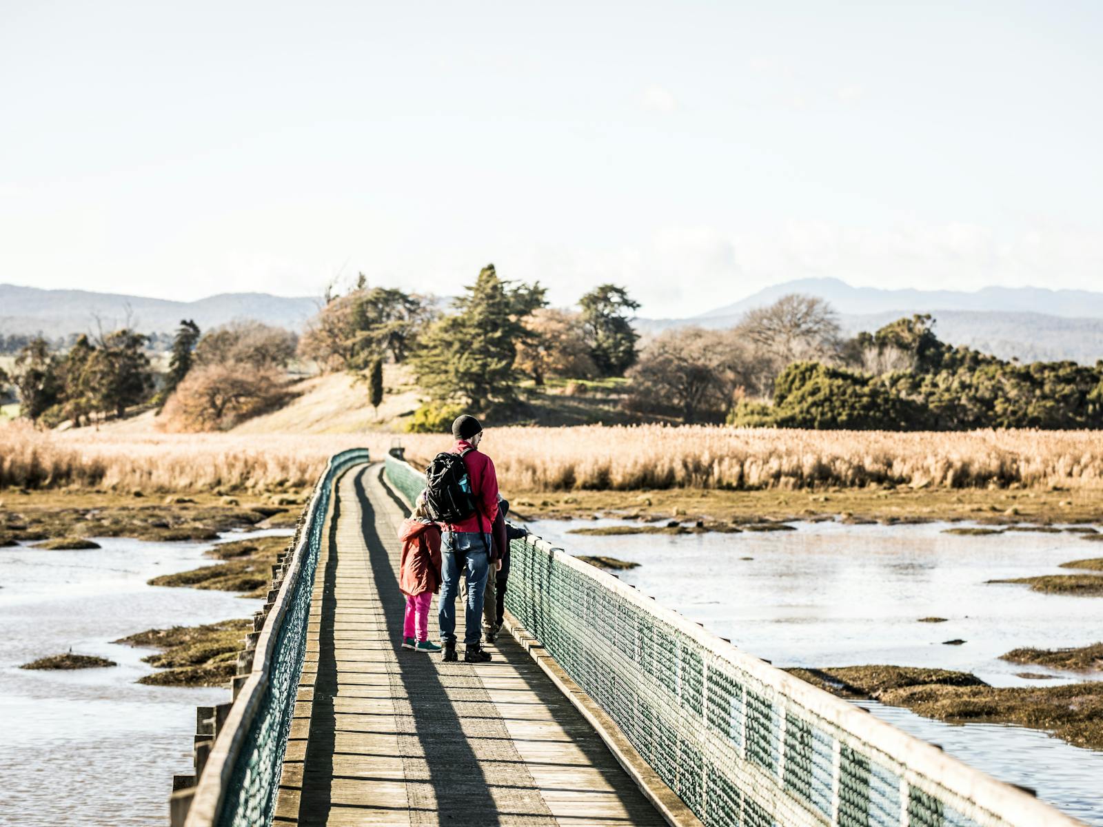 Tamar Island - Great Short Walk