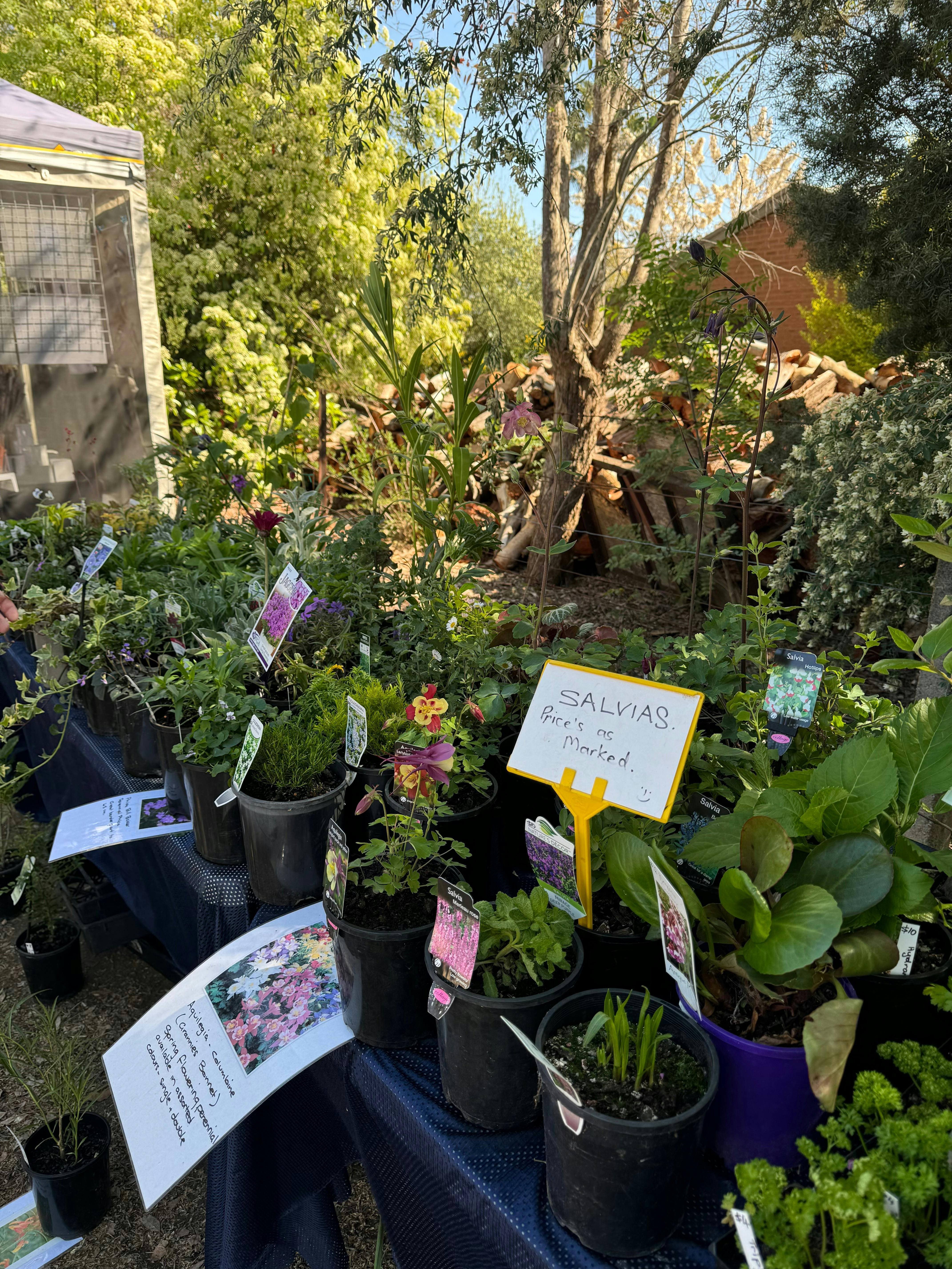 market stall