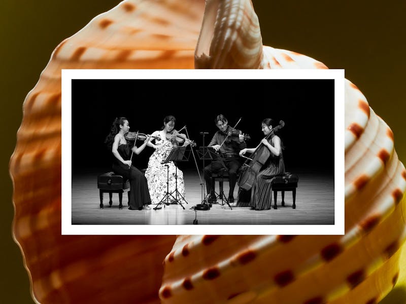 Image for Esmé Quartet - Musica Viva Australia - Newcastle
