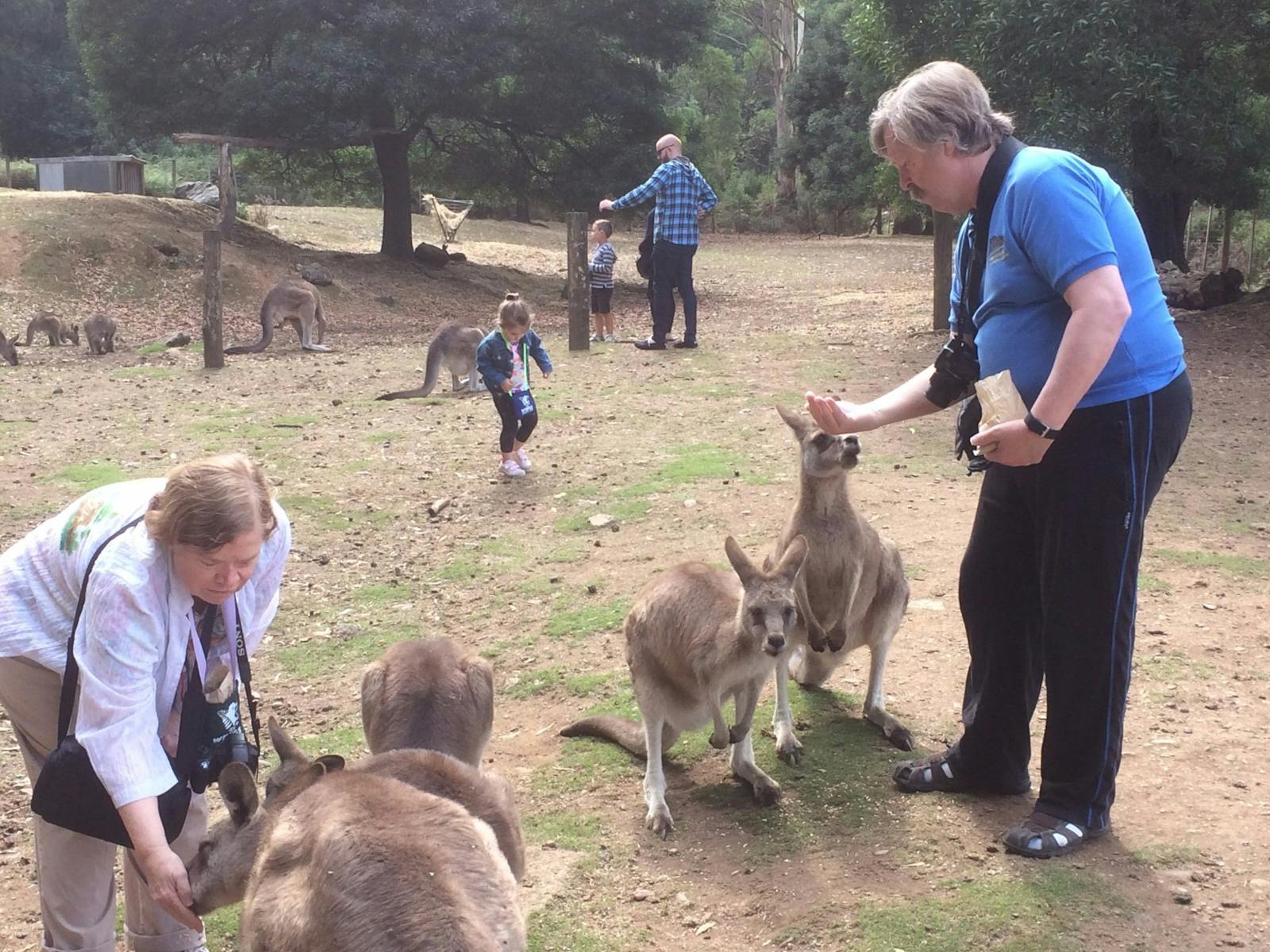 Feeding animals