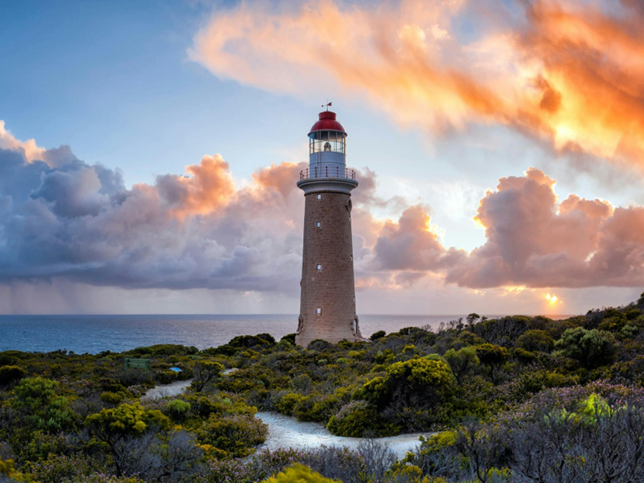 Lighthouse, Kangaroos and Views