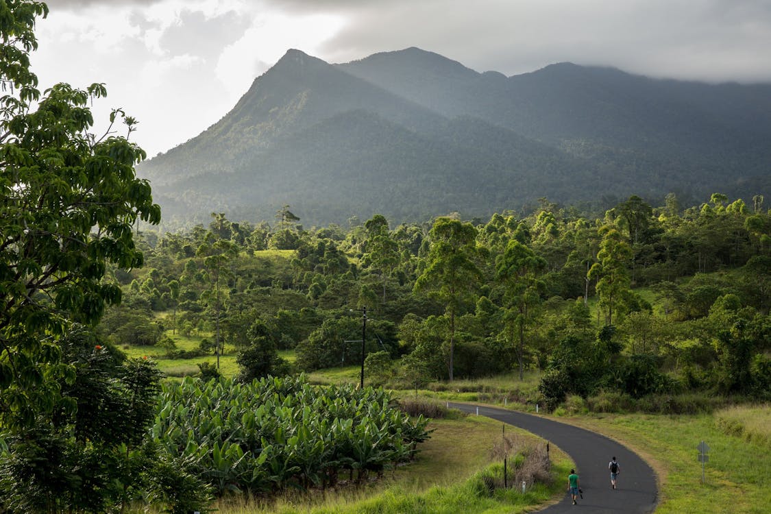 Mt Bartle Frere Cairns And Great Barrier Reef