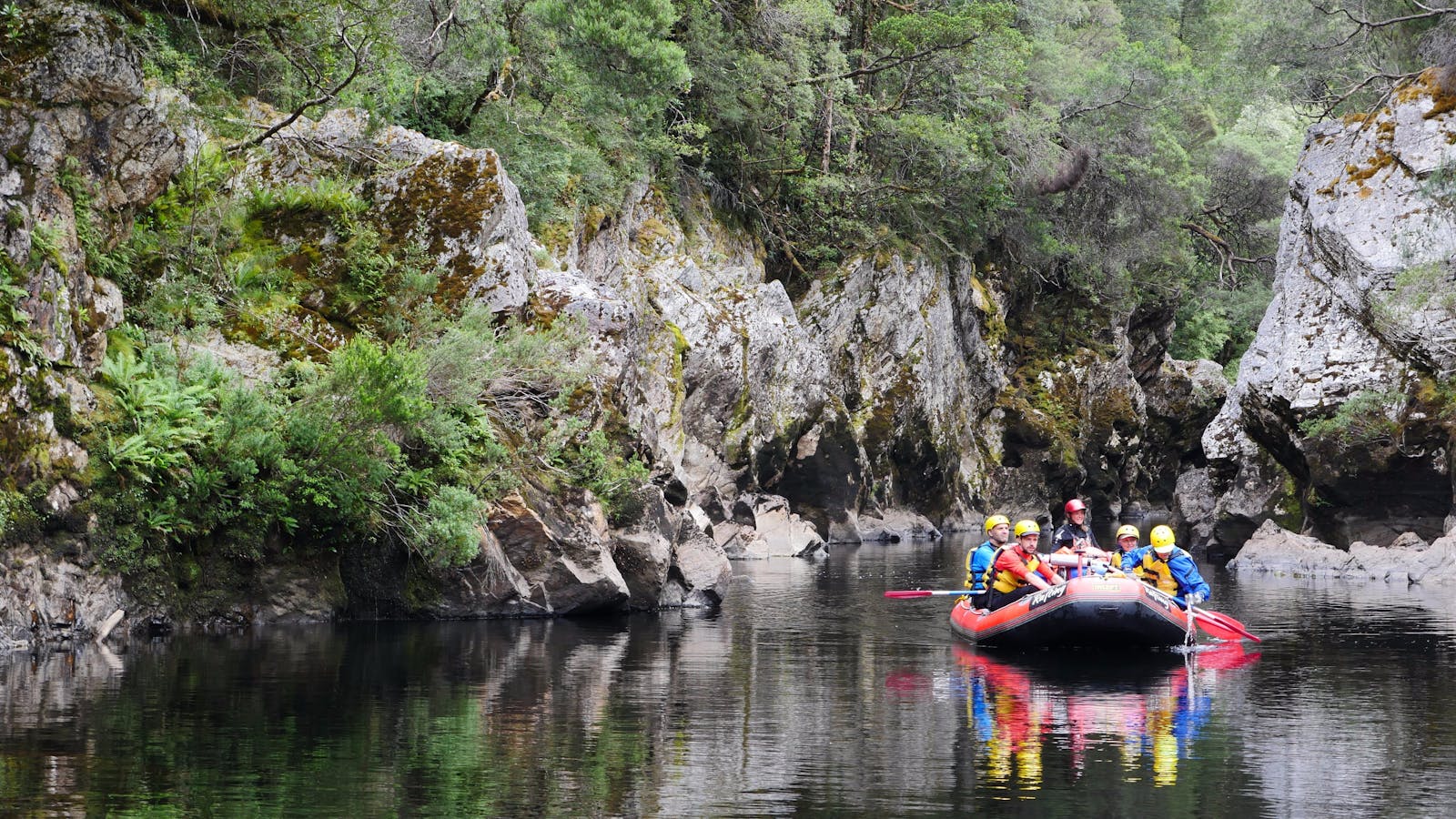 Go with the flow - Franklin River