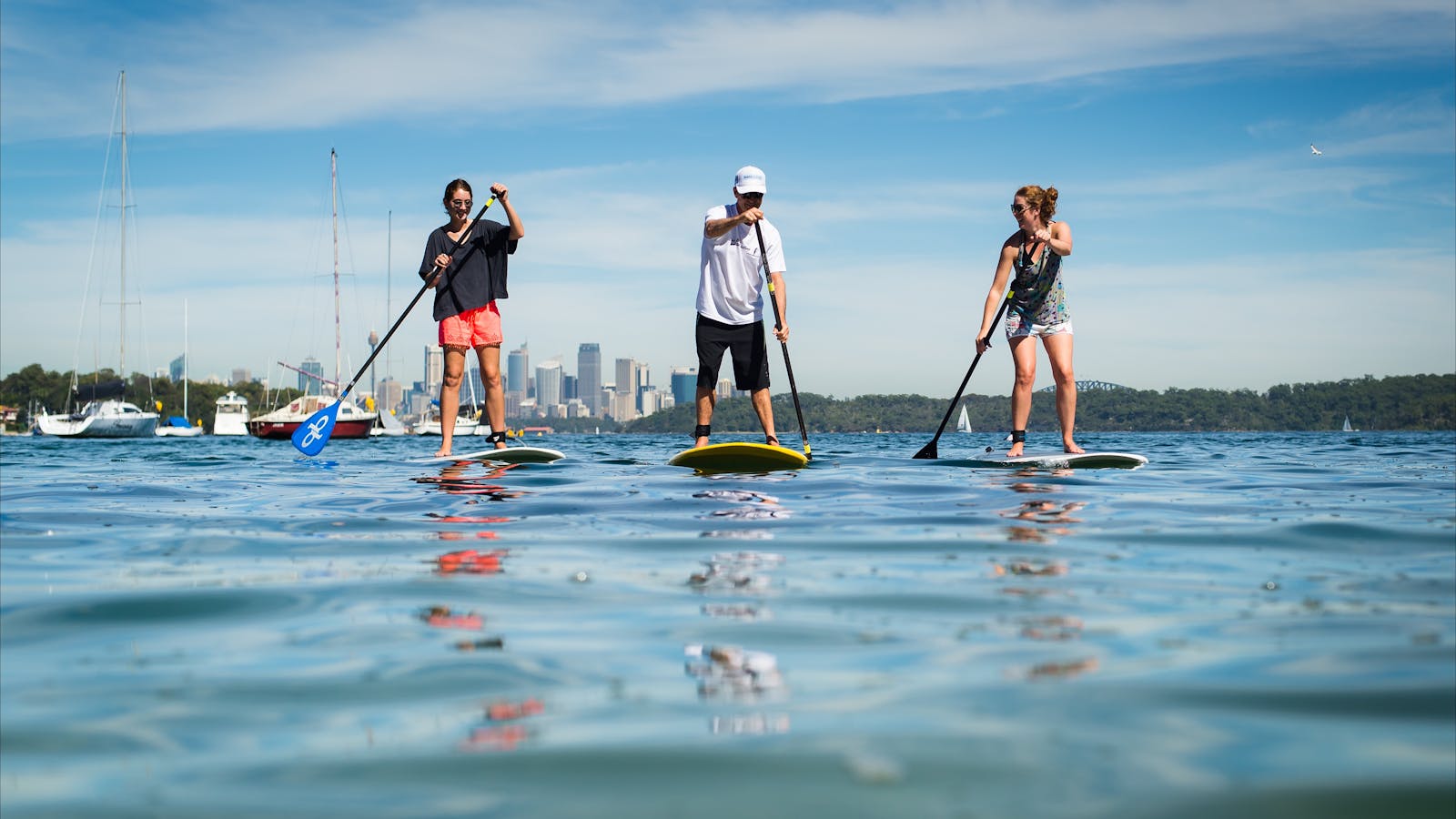 Watsons Bay Stand Up Paddling (WATSSUP)
