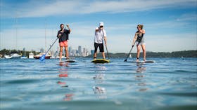 SUP, stand up paddling, lifeguard,