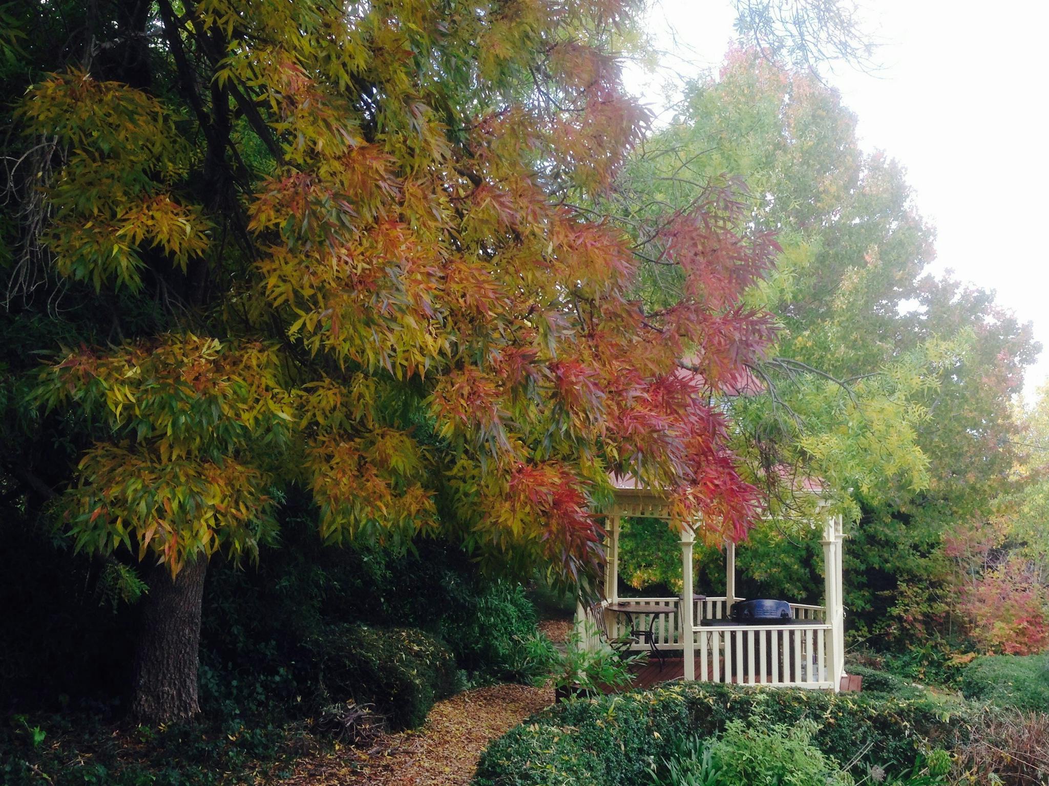 Gazebo in autumn