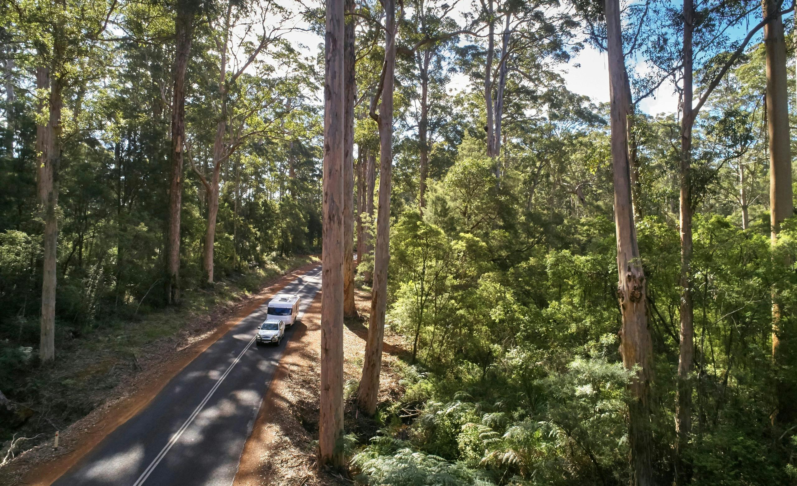 Pemberton, Western Australia