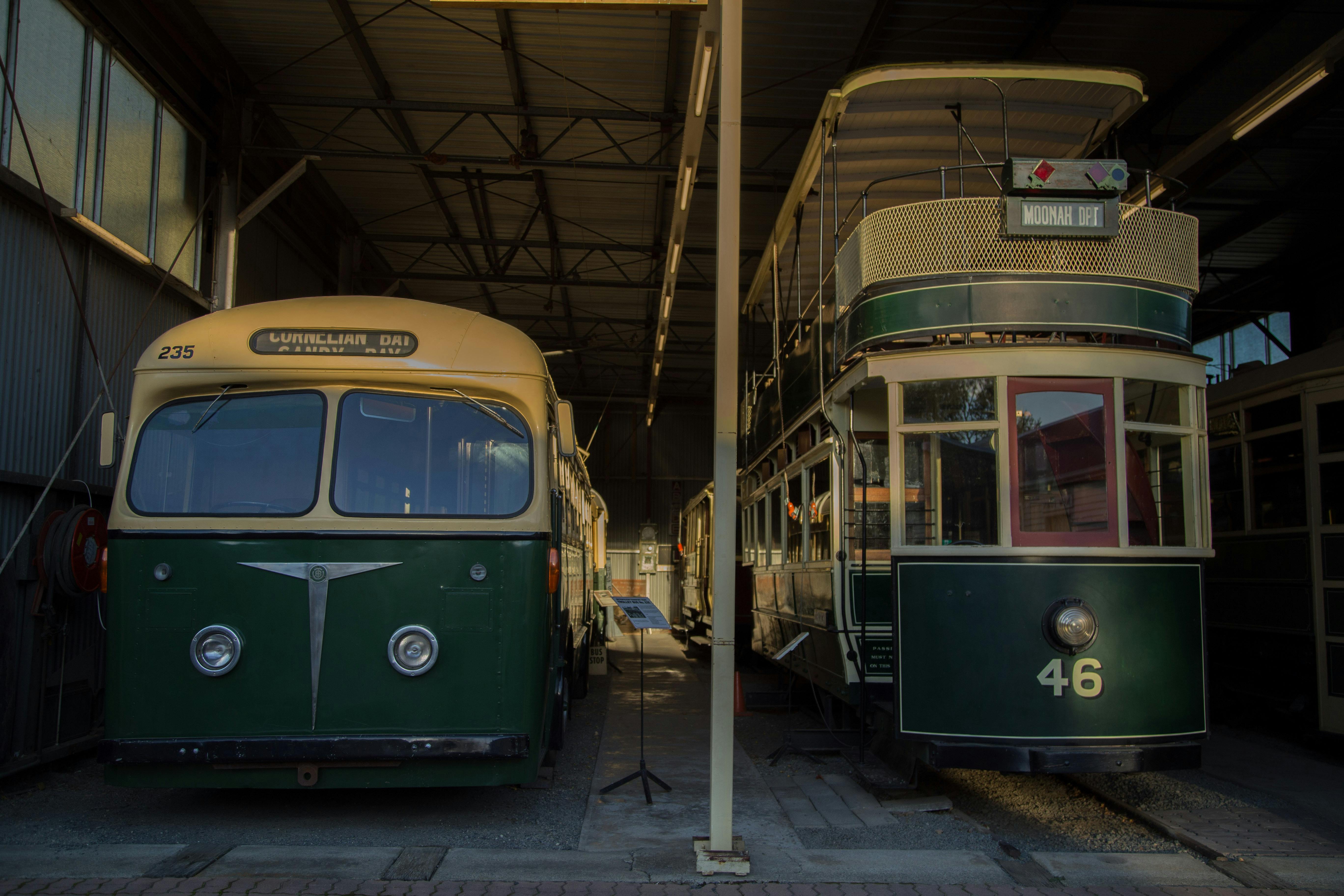 Tram and Trolley Bus