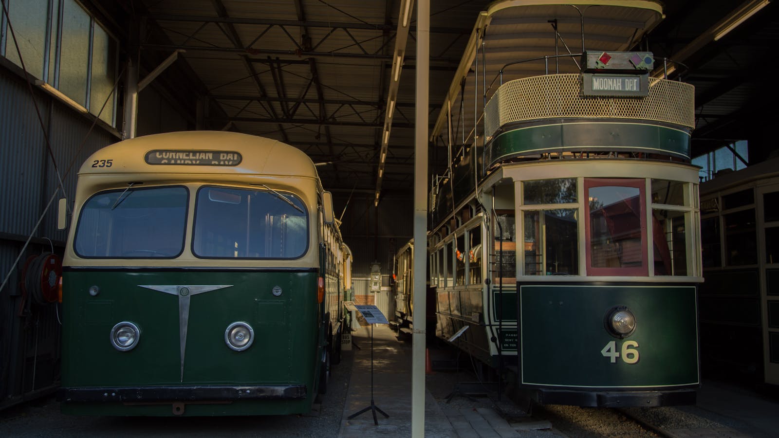 Tram and Trolley Bus