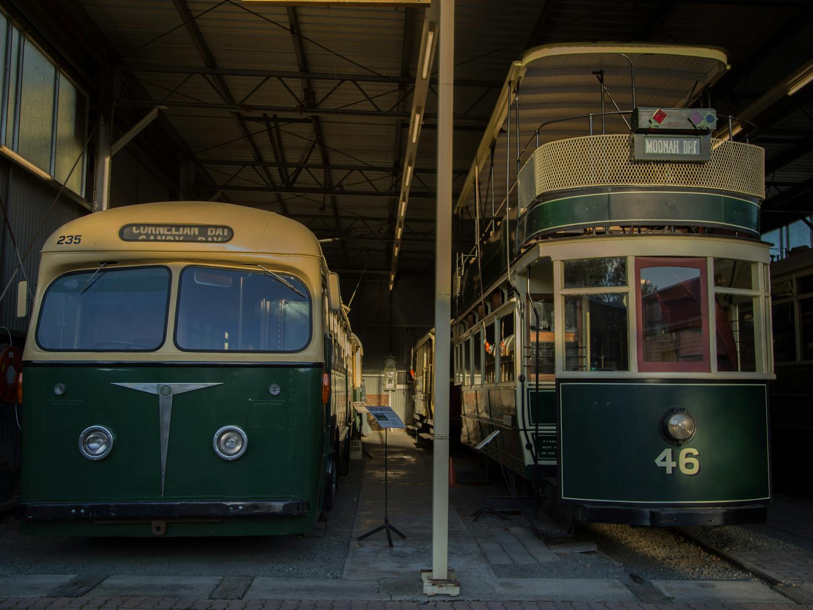 Tram and Trolley Bus