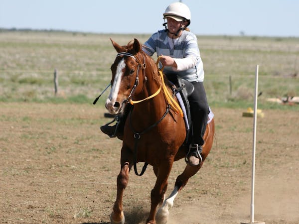 Gymkhana action