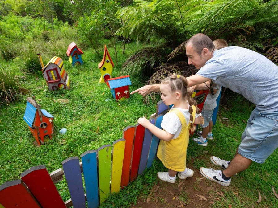 Junior Forest Ranger at Illawarra Fly Treetop Adventures