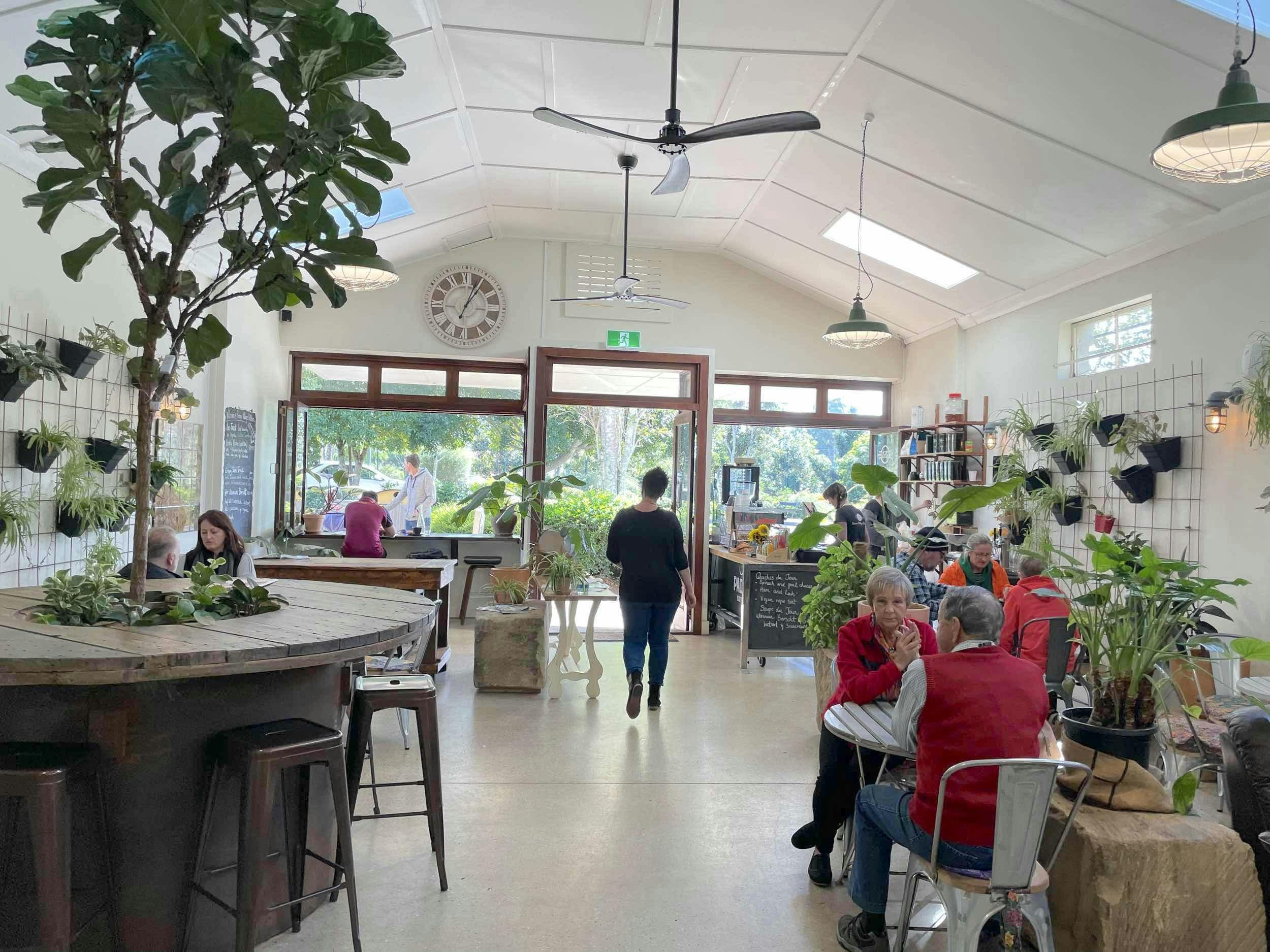 Joel's Journeys Noosa Hinterland Tour