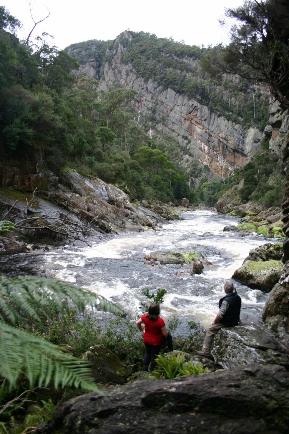 Leven Canyon Lookout Track photo