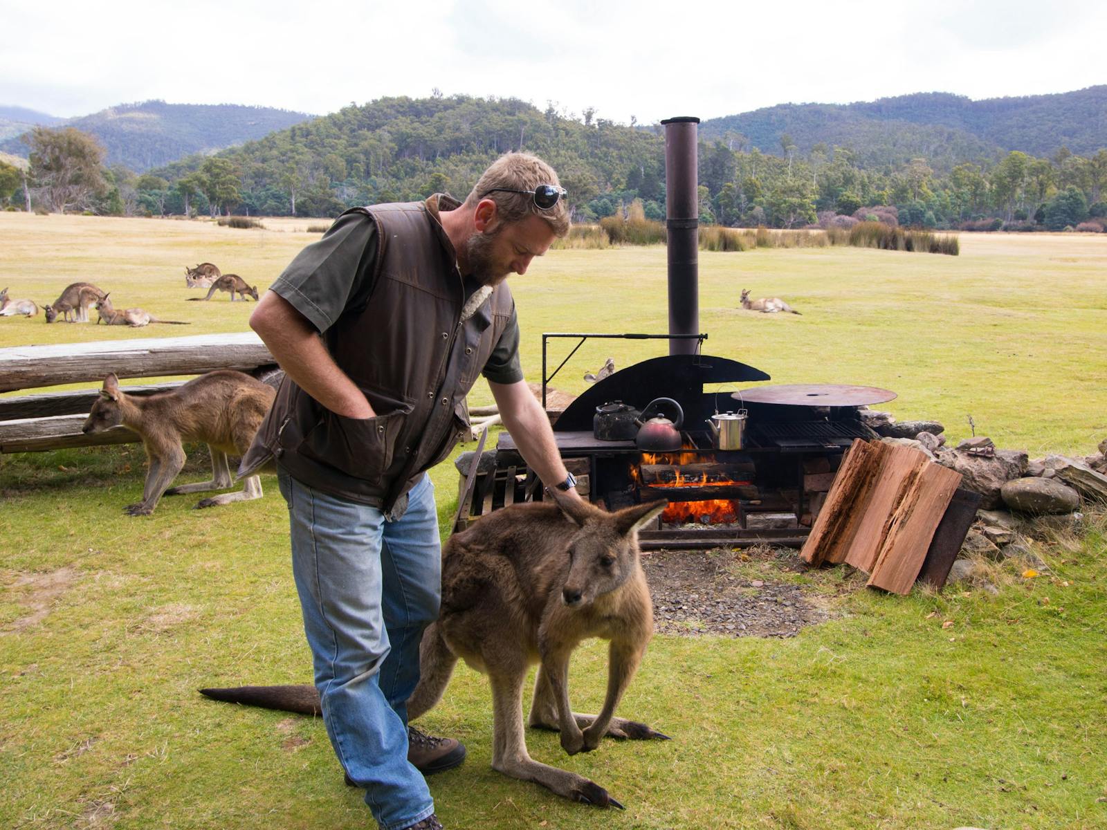 guide petting kangaroo in front of campfire