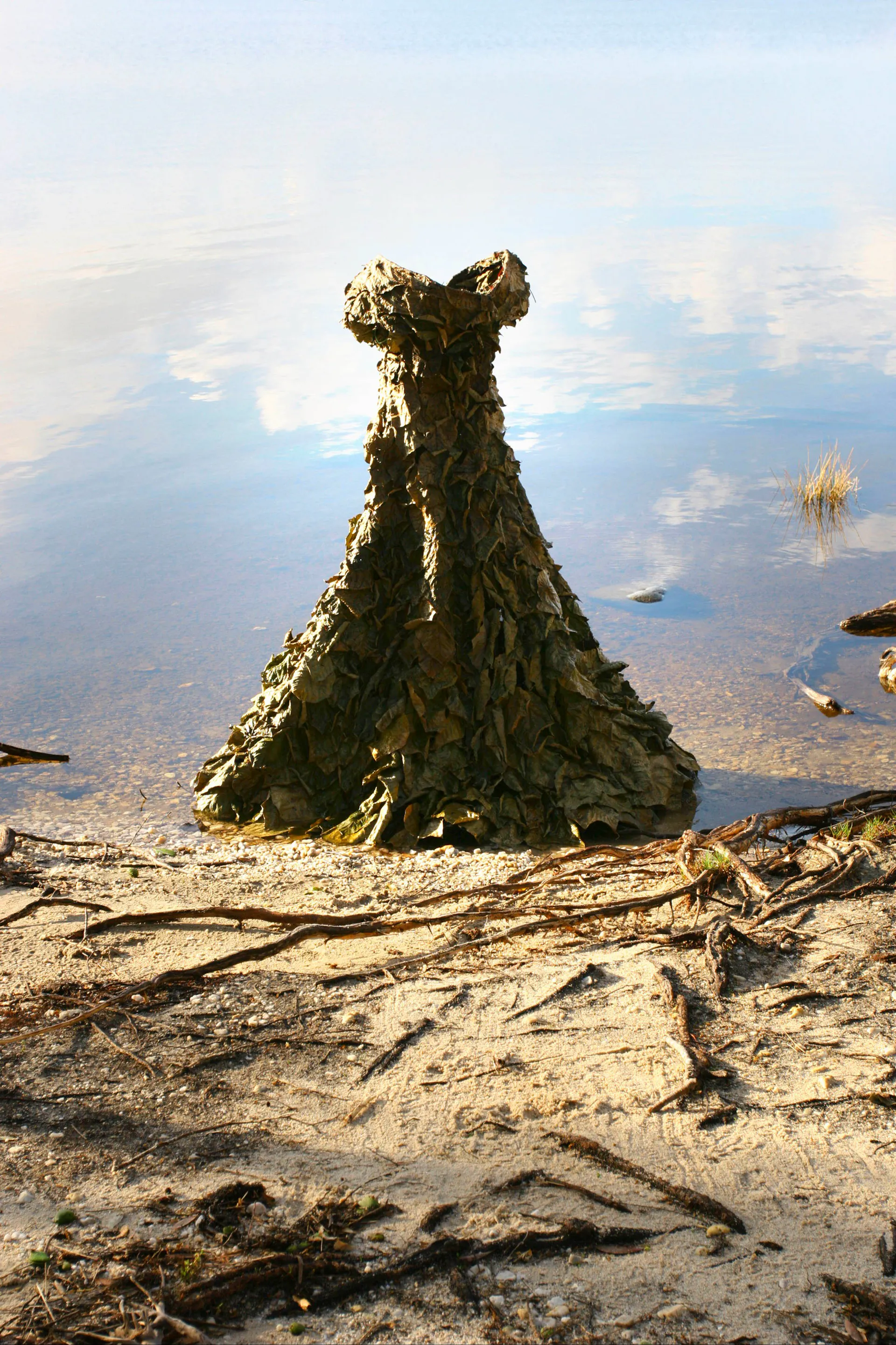 Organic sculpture at edge of water