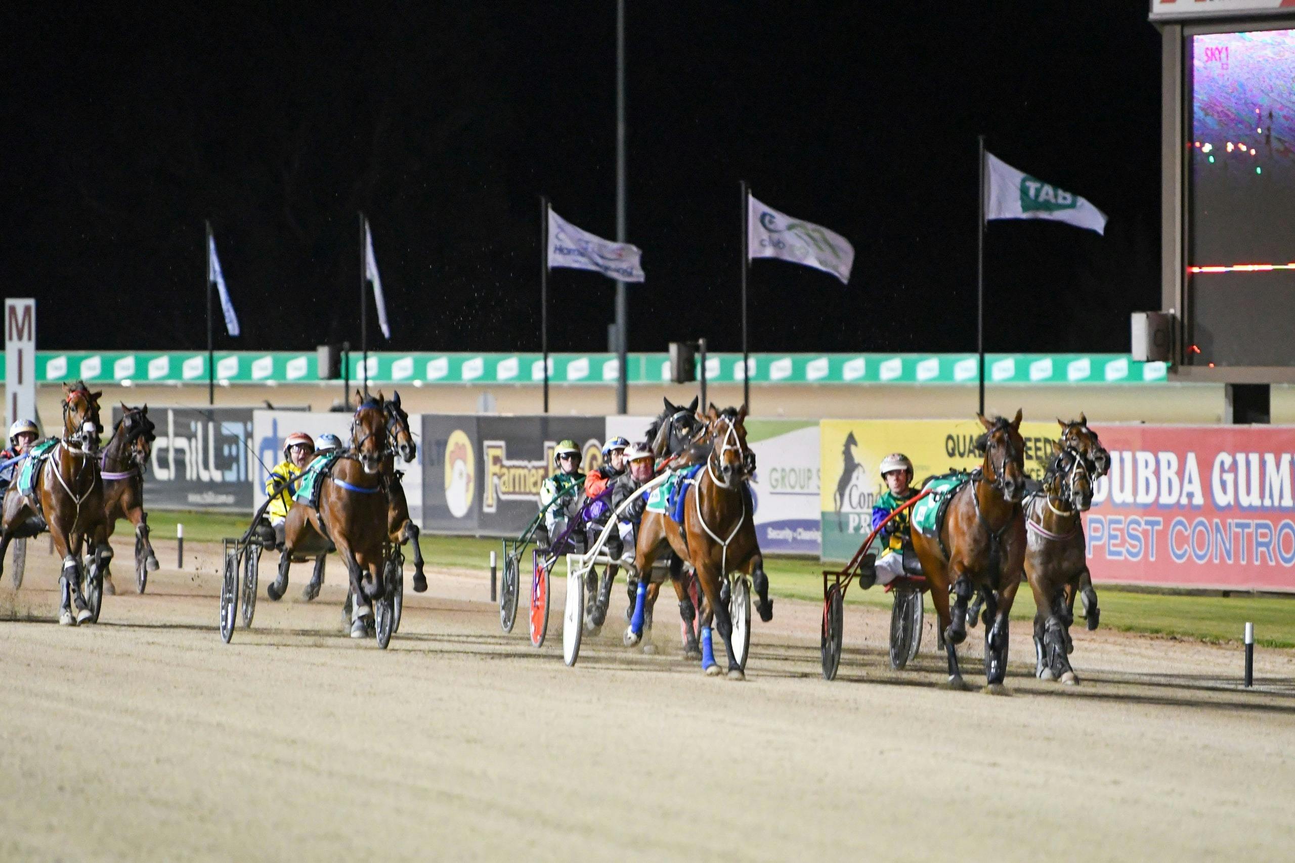 Horse trotting race