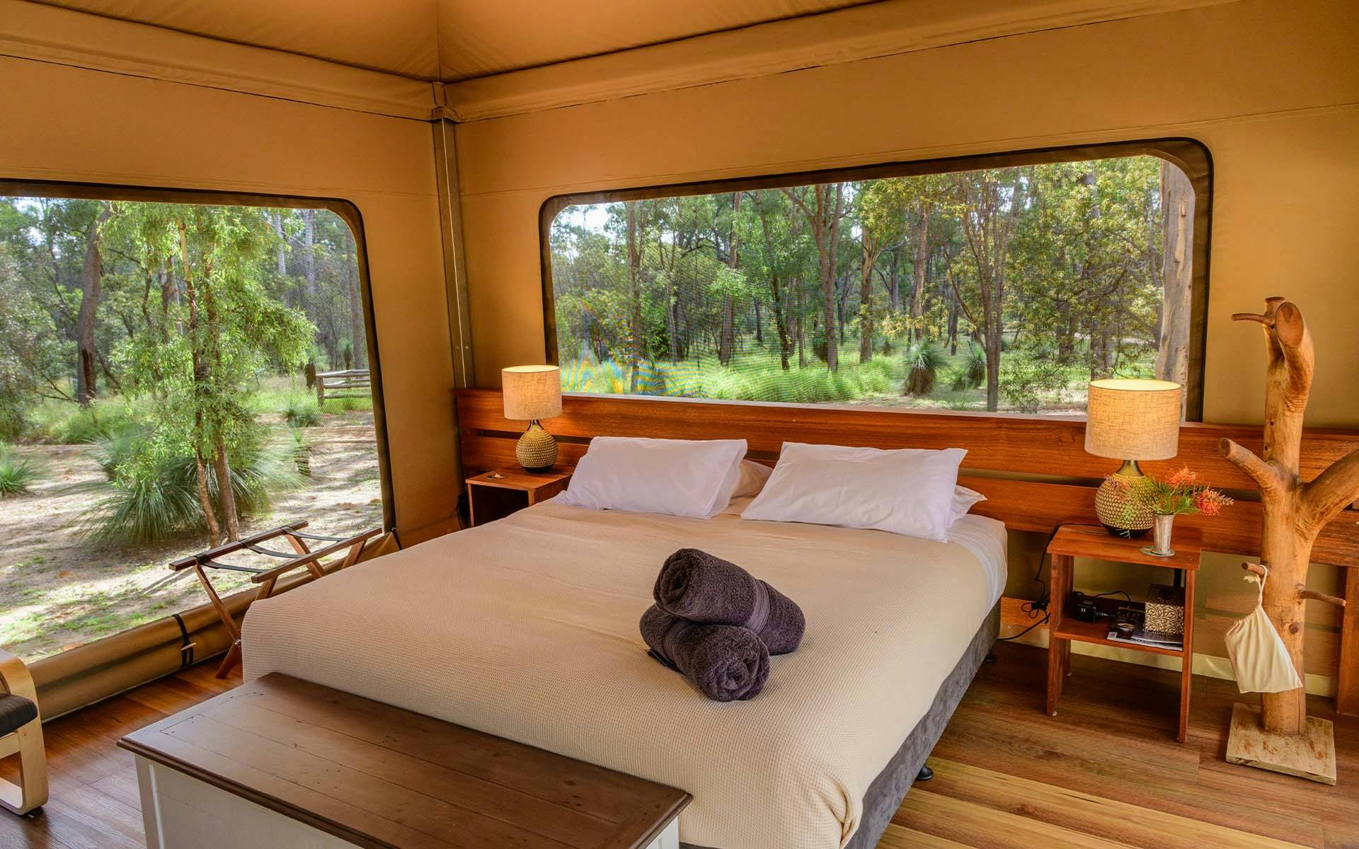 A bedroom in a luxury tent. Two windows, a queen sized bed, lamps and a decorative tree branch