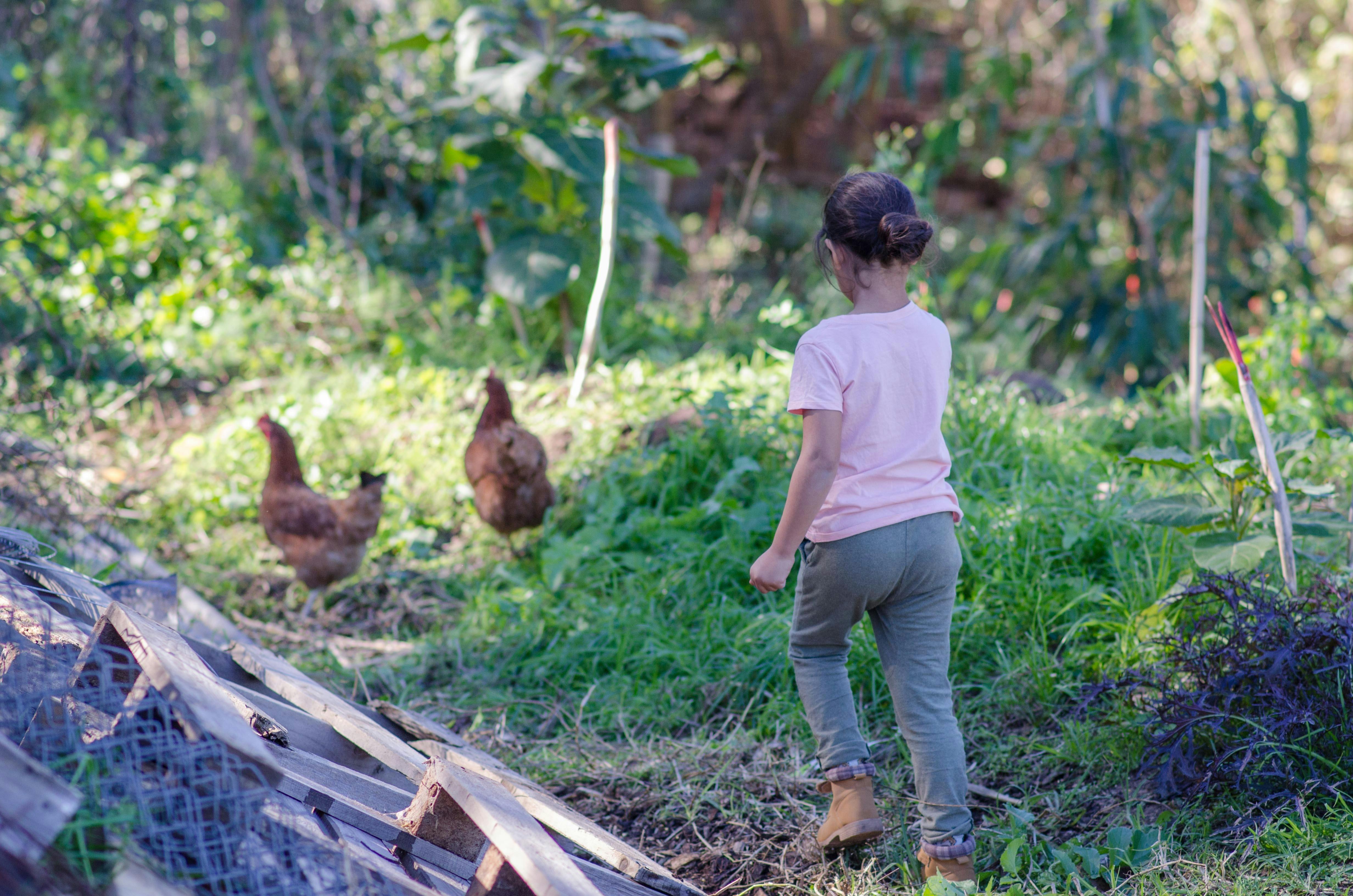 Farm Tour for Kids NSW Holidays & Things to Do