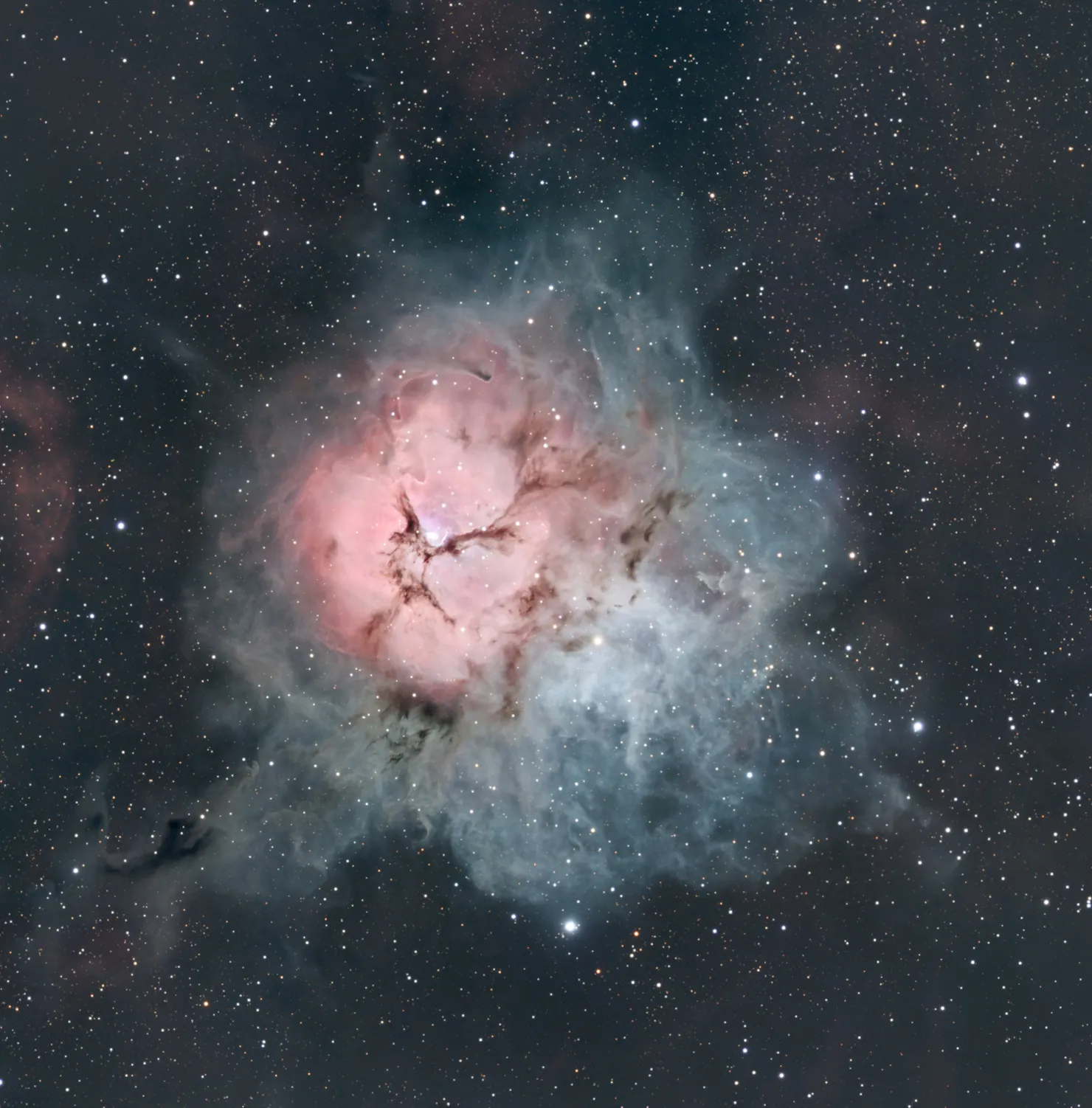 A 100 hour image of the Trifid Nebula shot from within the Sunshine Coast Hinterland.