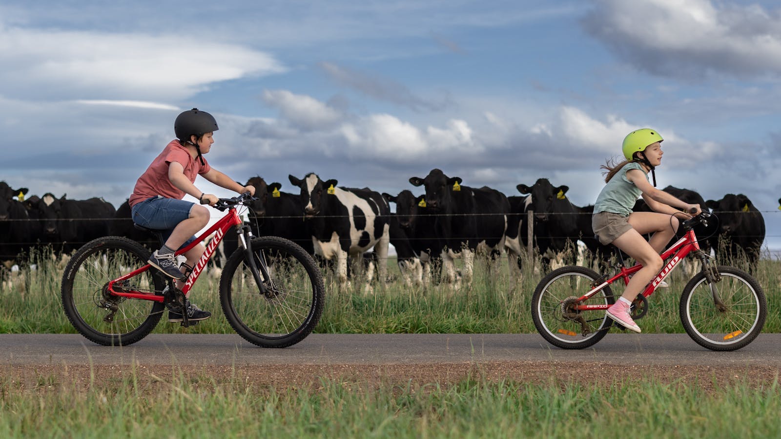 The local can be nosy