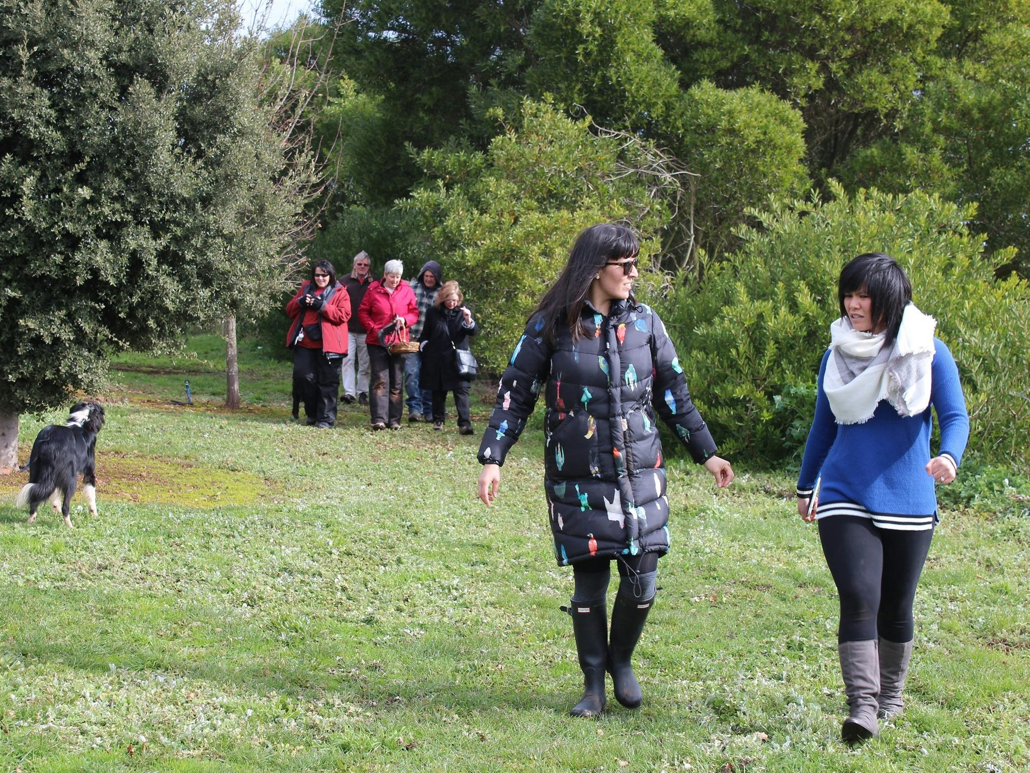Truffle Hunts