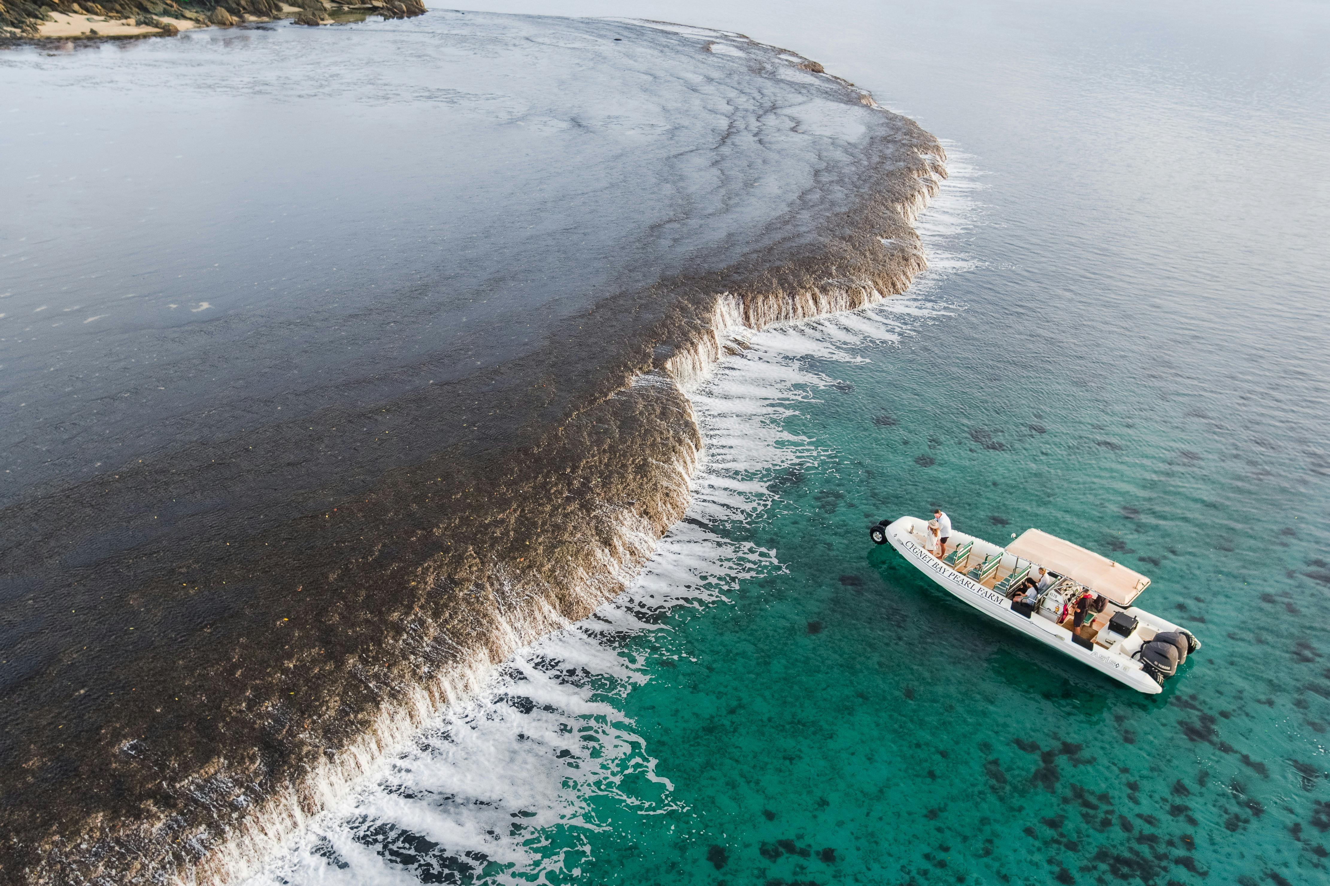 Waterfall Reef Sea Safari