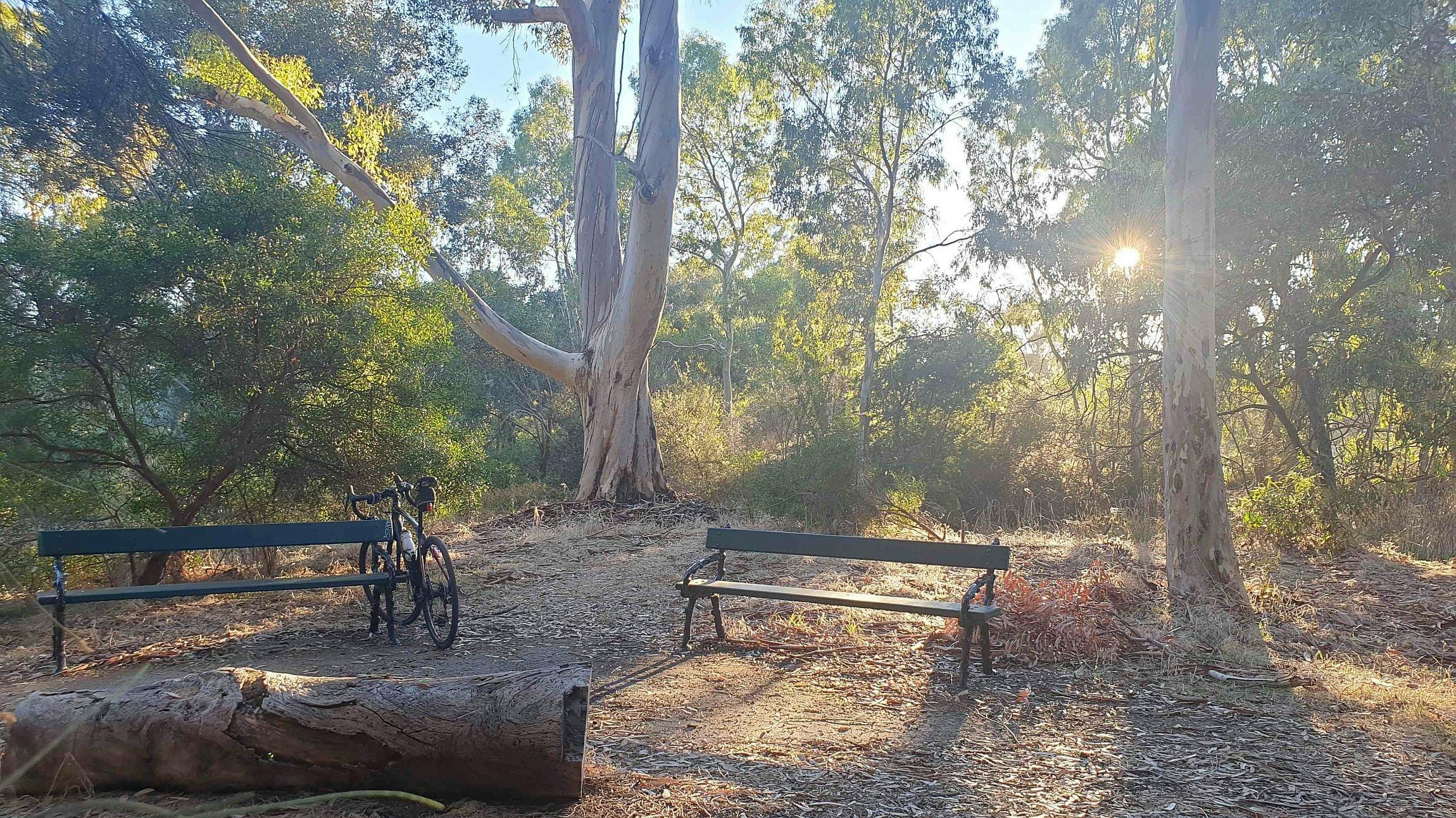 Edwards Park (Park 23 South)