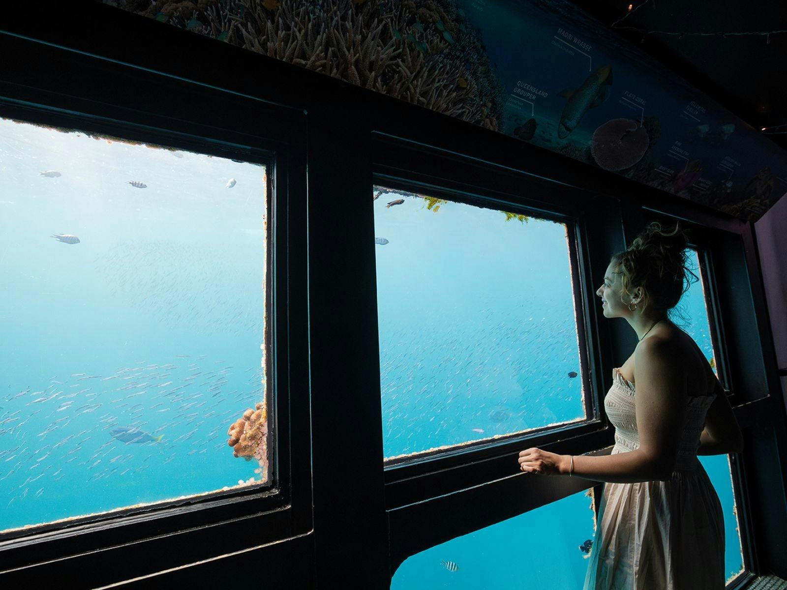 A guest looking at the fish in the underwater observatory