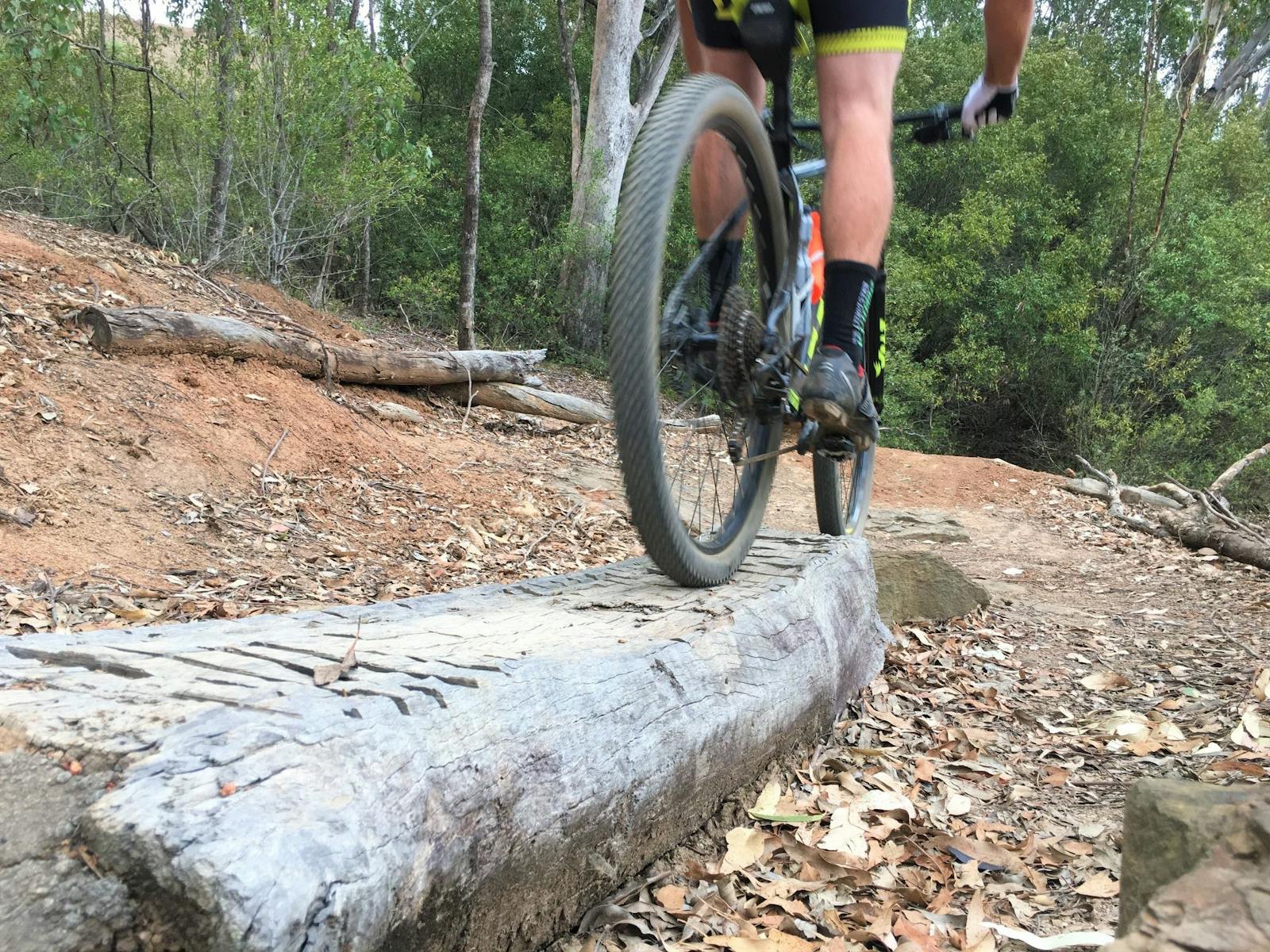 Cyclist on the MTB Trails in the Australian Botanic Garden Mount Annan