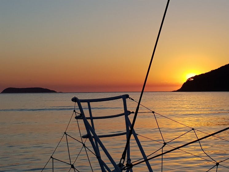 Our guests often witness spectacular sunrises as we head offshore through the heads of Port Stephens