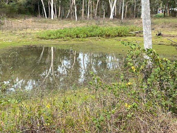 Black River Outback Ranch
