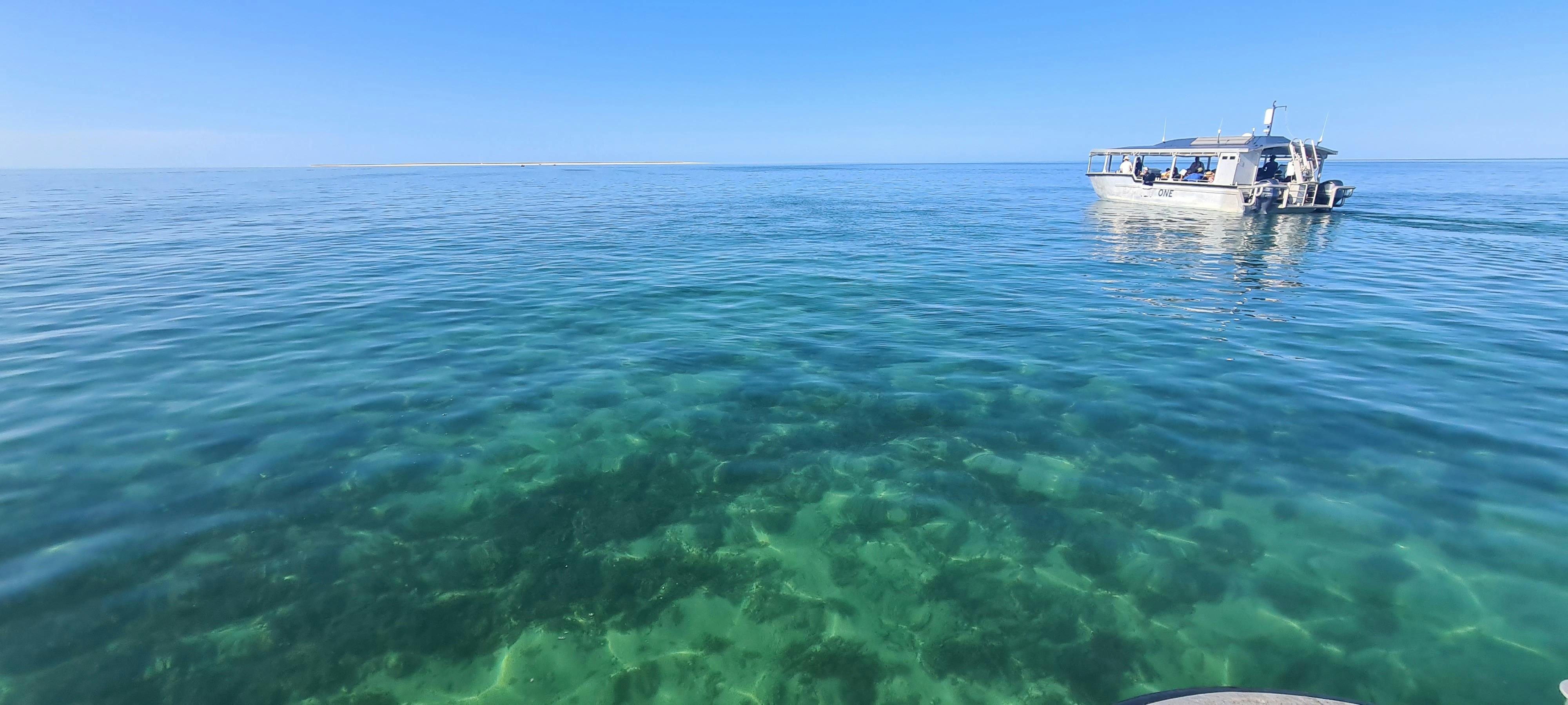 Coral Expeditions Kimberley Icons cruise snorkelling Adele Island