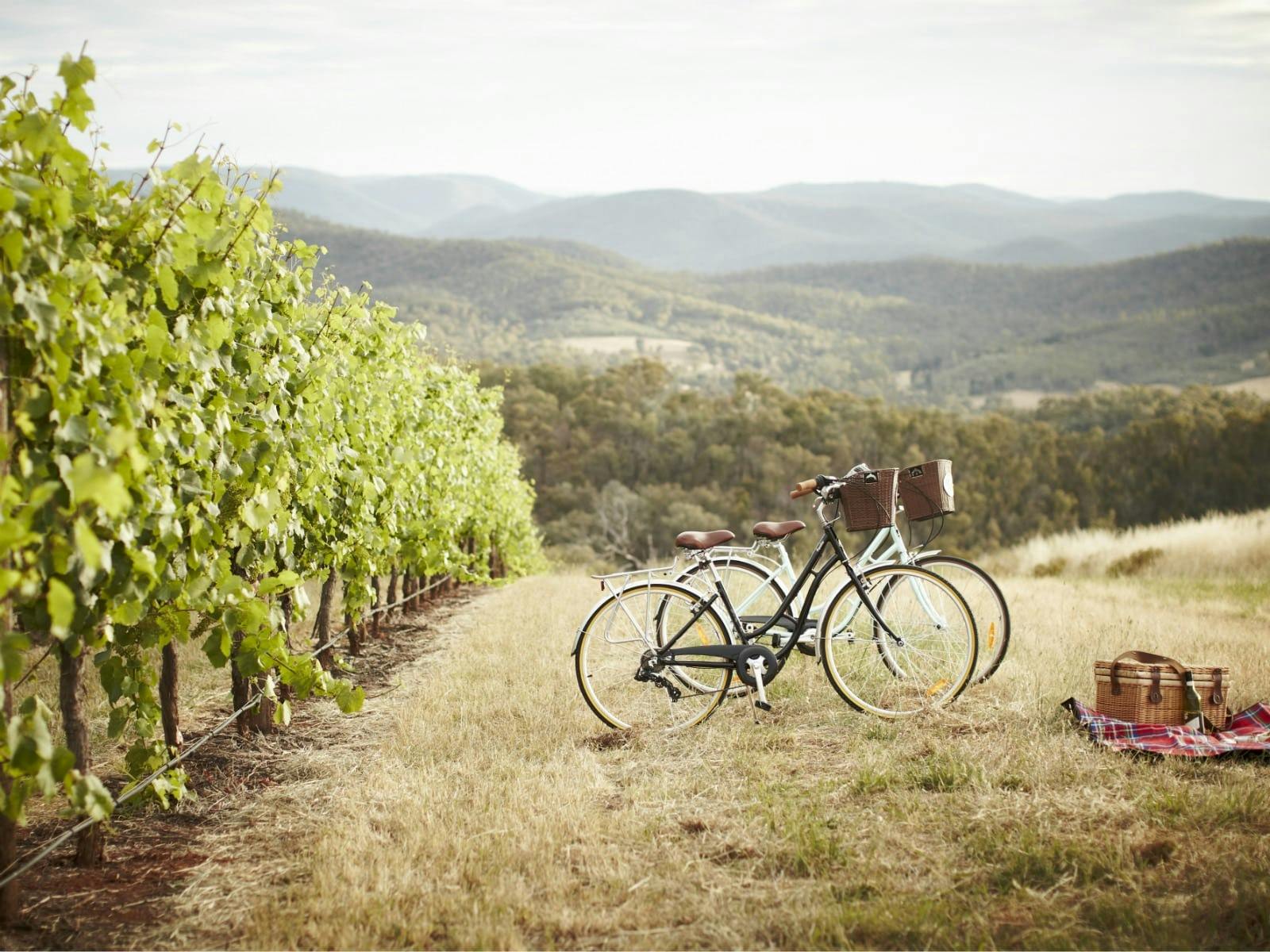 Ride your bicycle trough wineries and enjoy lunch at one the award winning lunch at a restaurant.