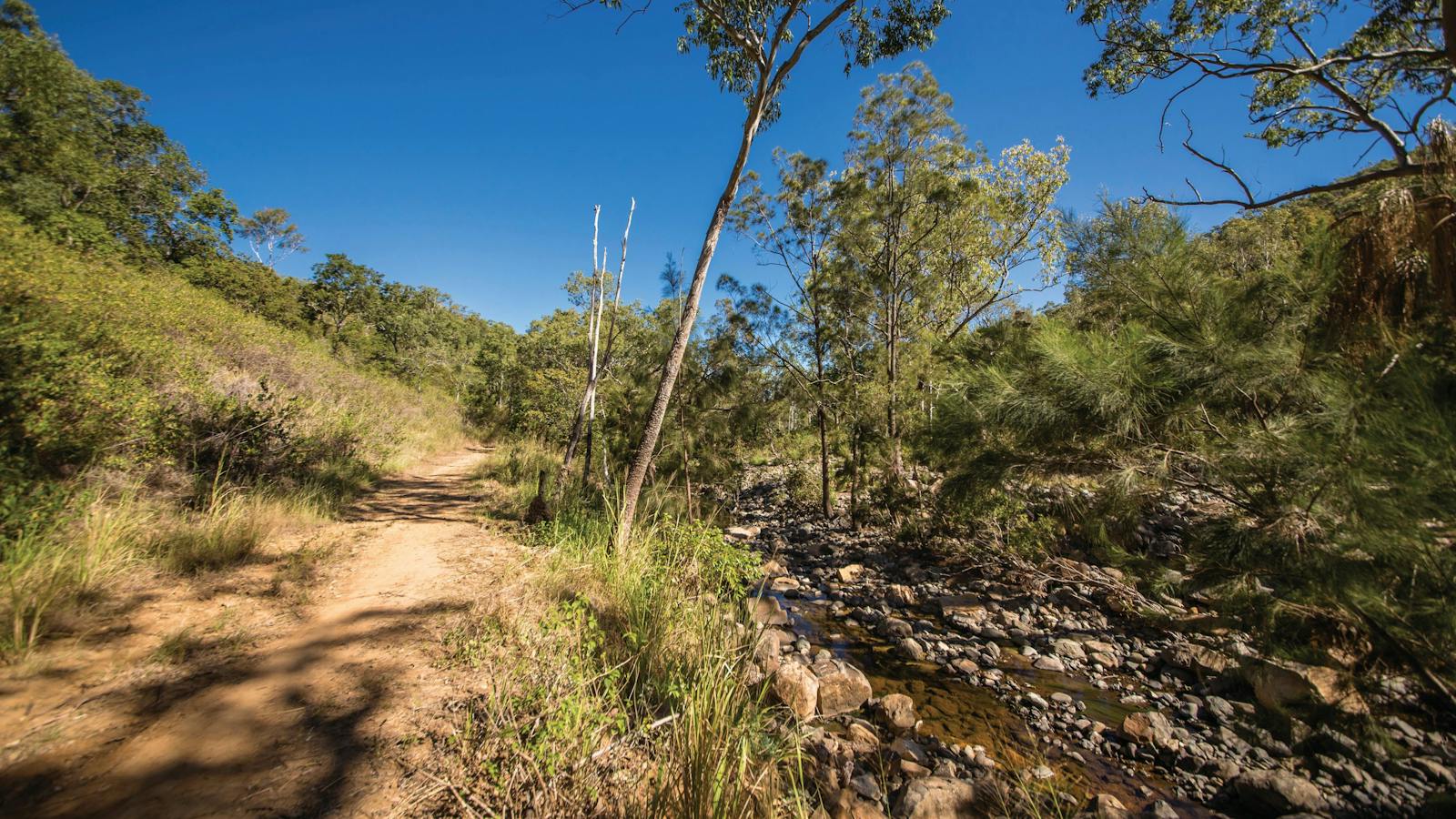 Walking track beside rocky creek.