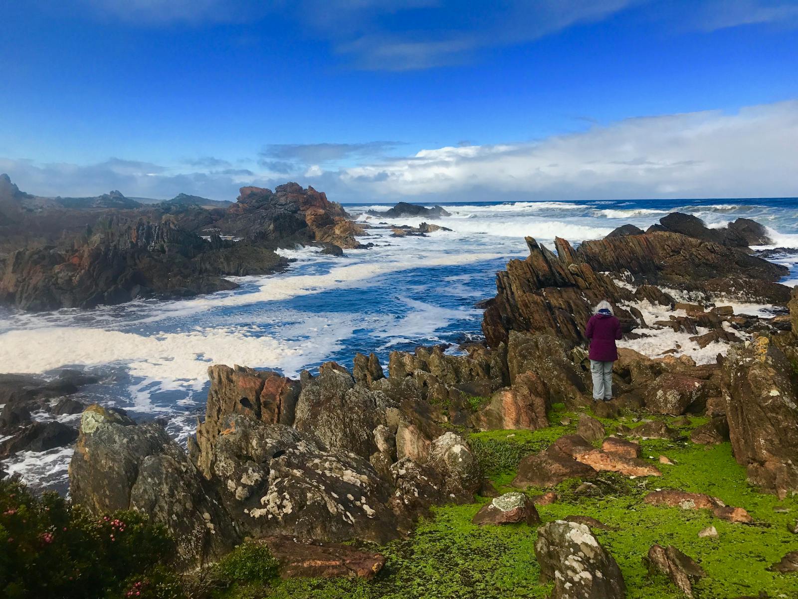 The Coastline of the Tarkine Wilderness Pack-Free Walk by Life's An Adventure
