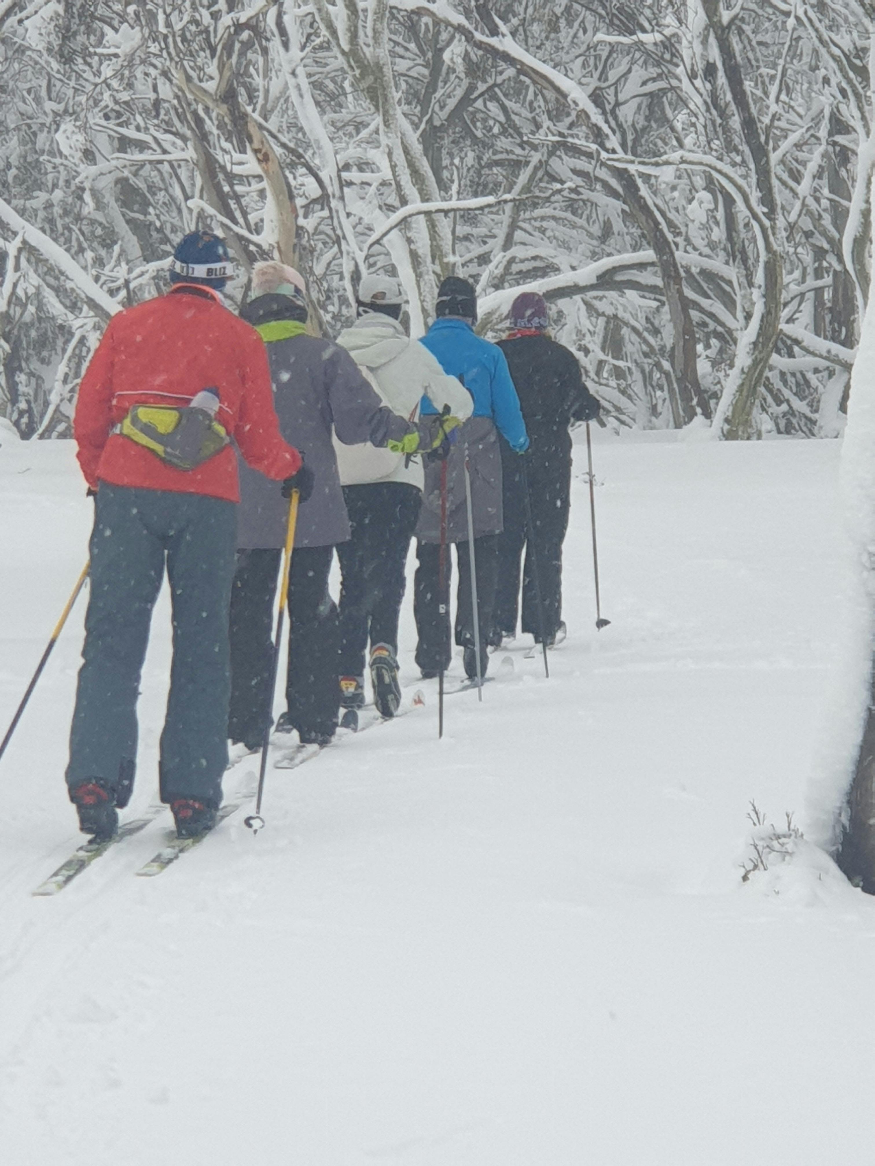 Five people skiing in a line