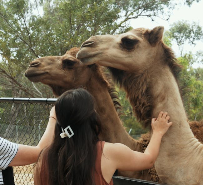 Meet & Greet Encounters at Botanic Gardens Zoo